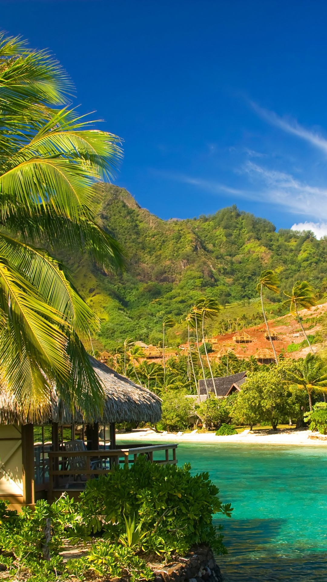 Download Cottage Photography Tropical