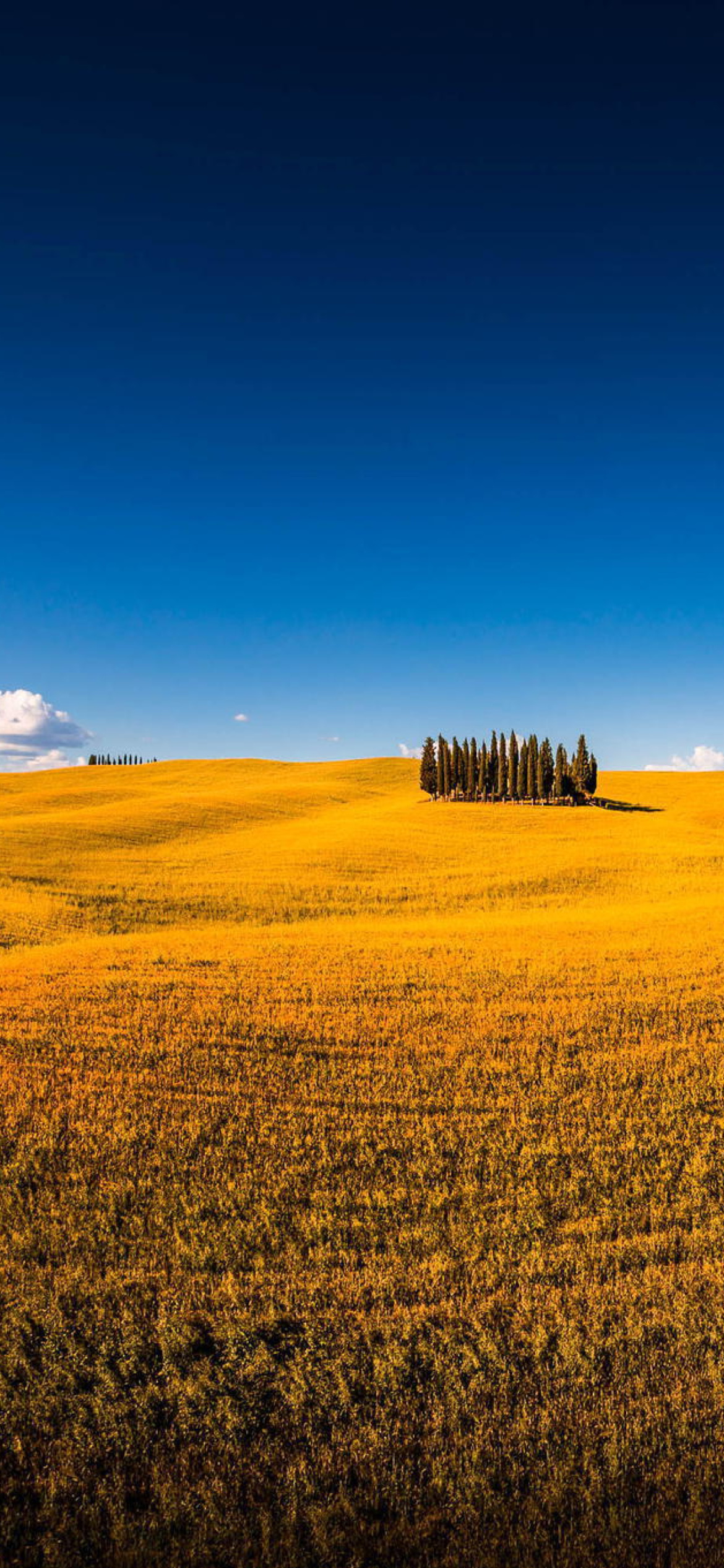 Tuscany Wallpaper for iPhone 11