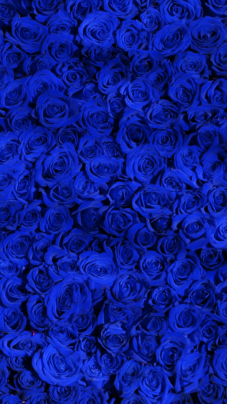 iPhone X wallpaper. rose blue pattern