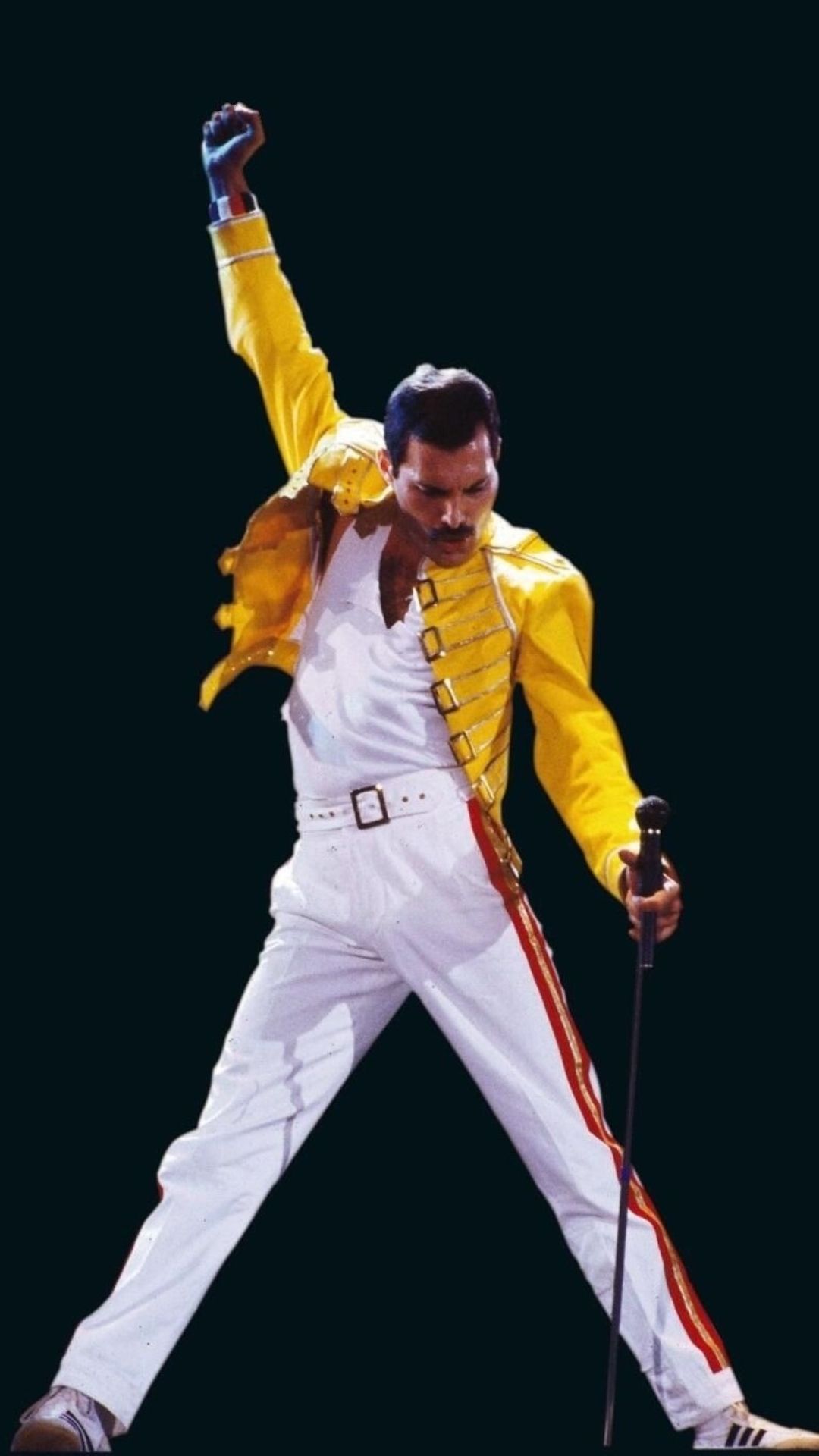Cellphone Wallpaper/ Freddie Mercury