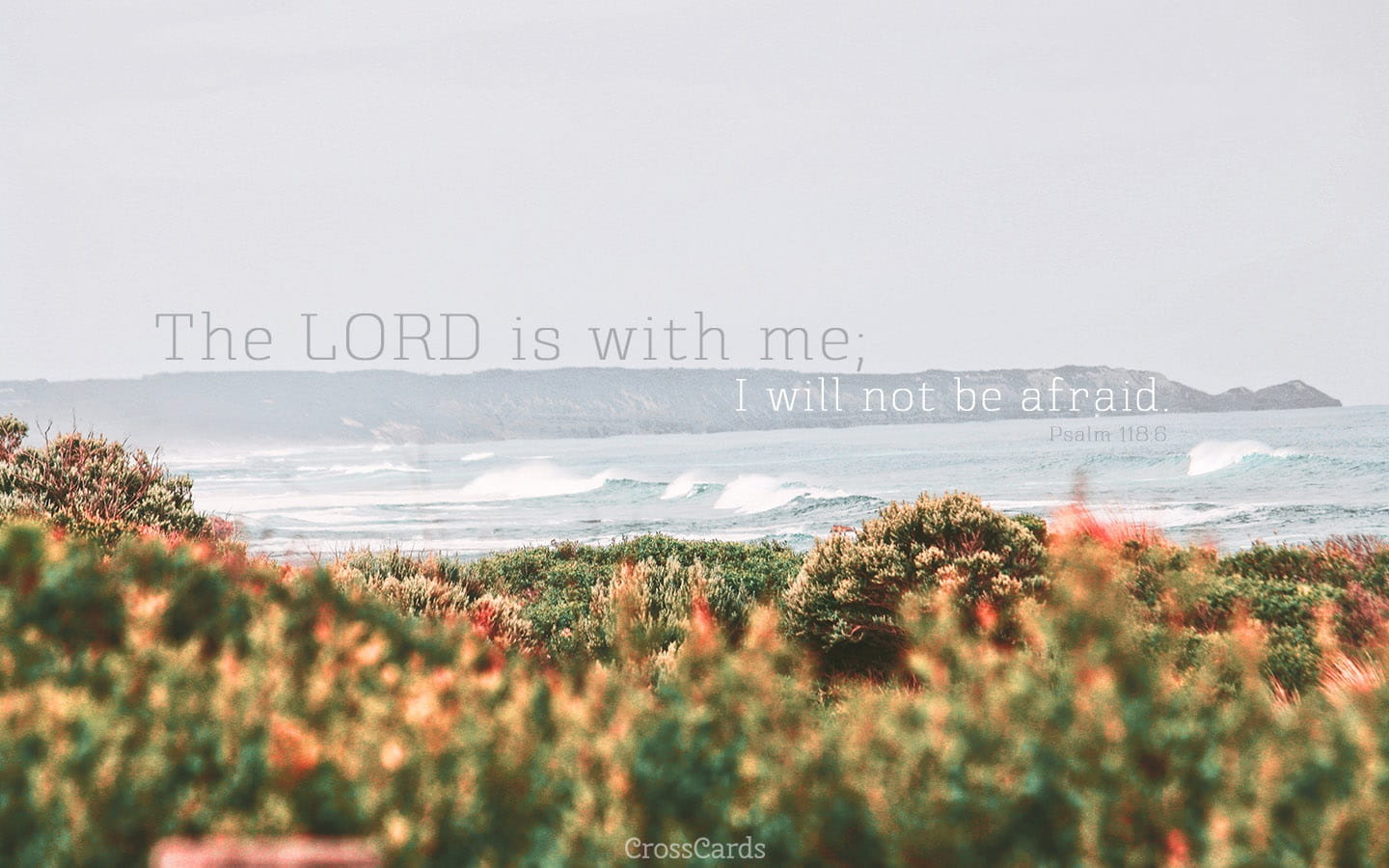 Psalm 118:6