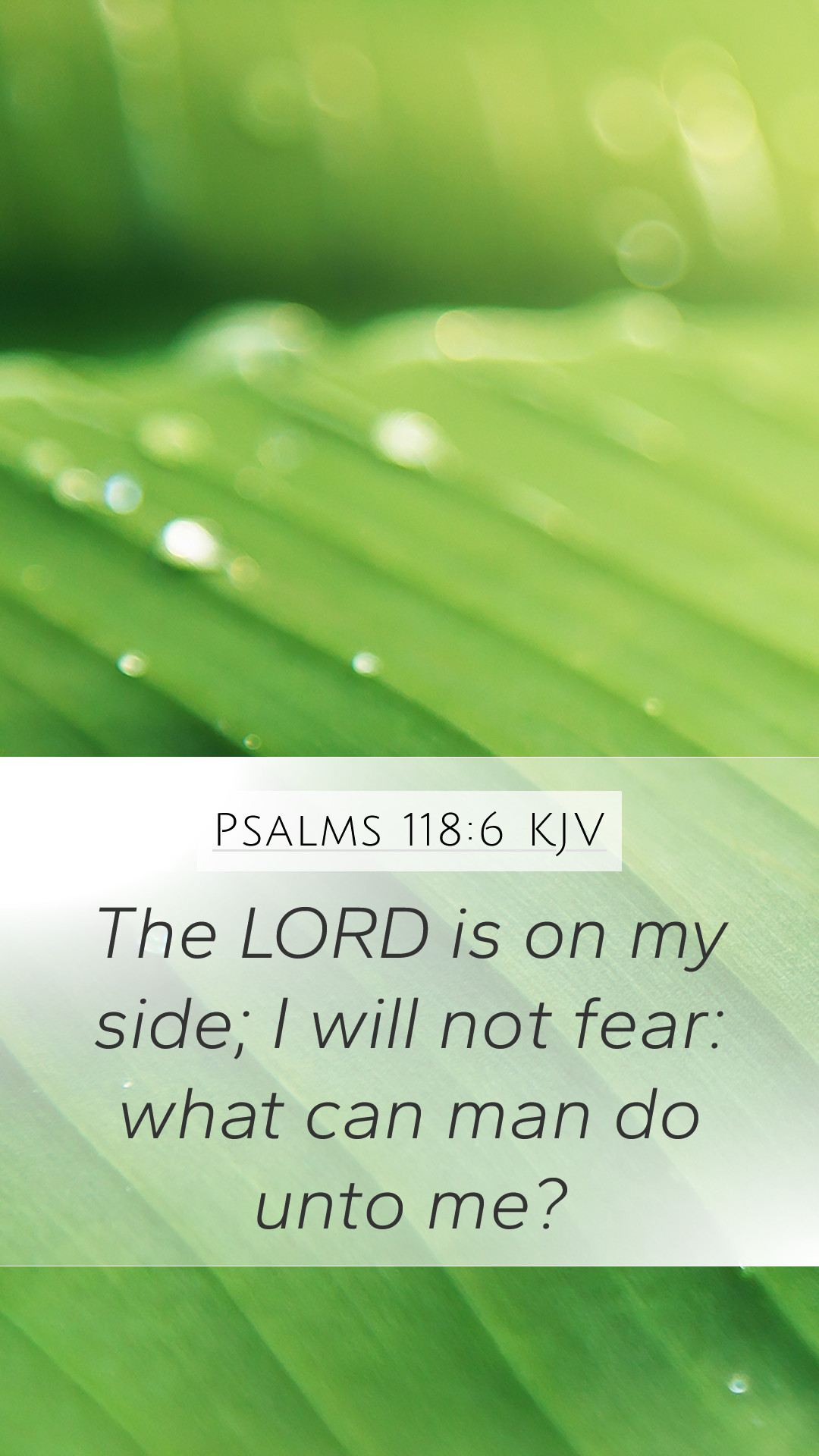 Psalms 118:6 KJV Mobile Phone Wallpaper
