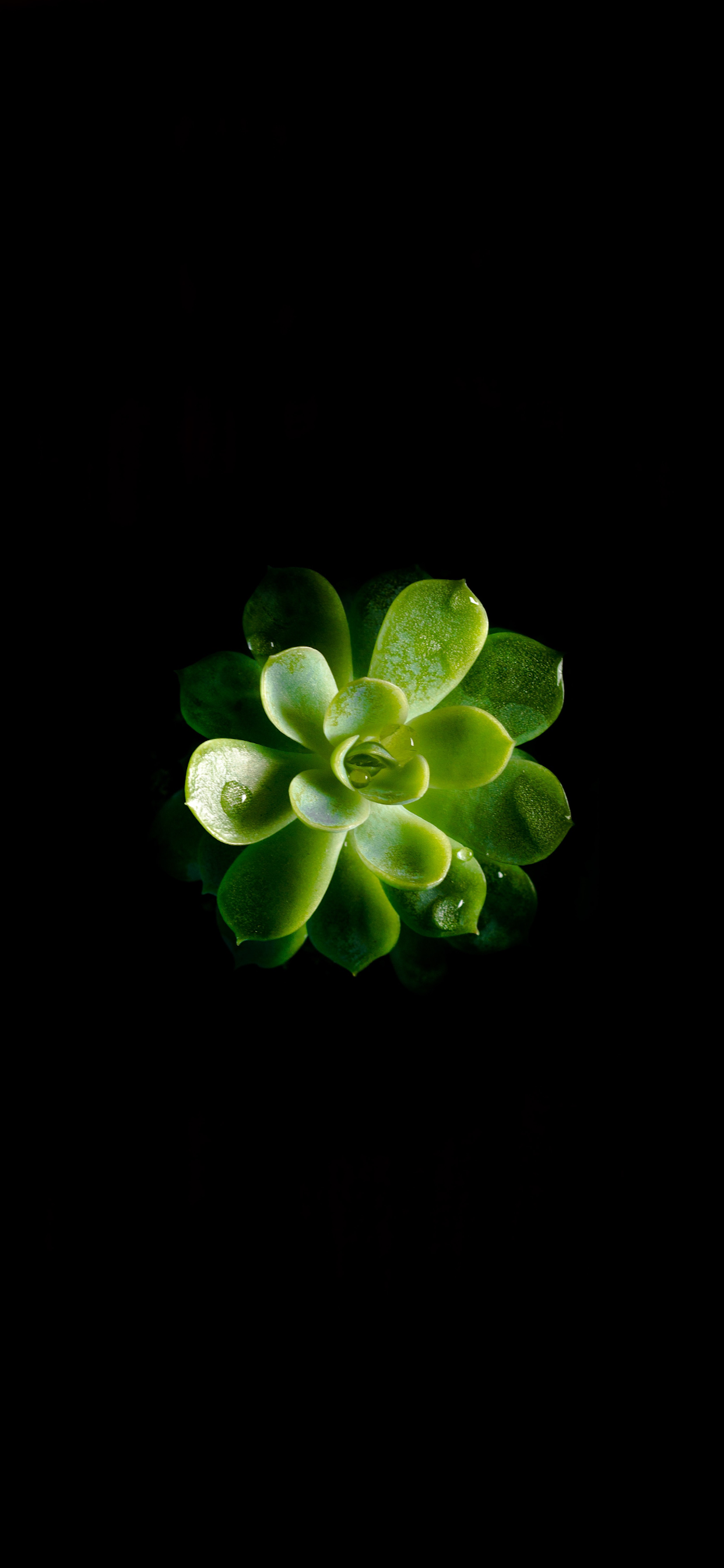 Black Wallpaper for iPhone 11, Pro Max