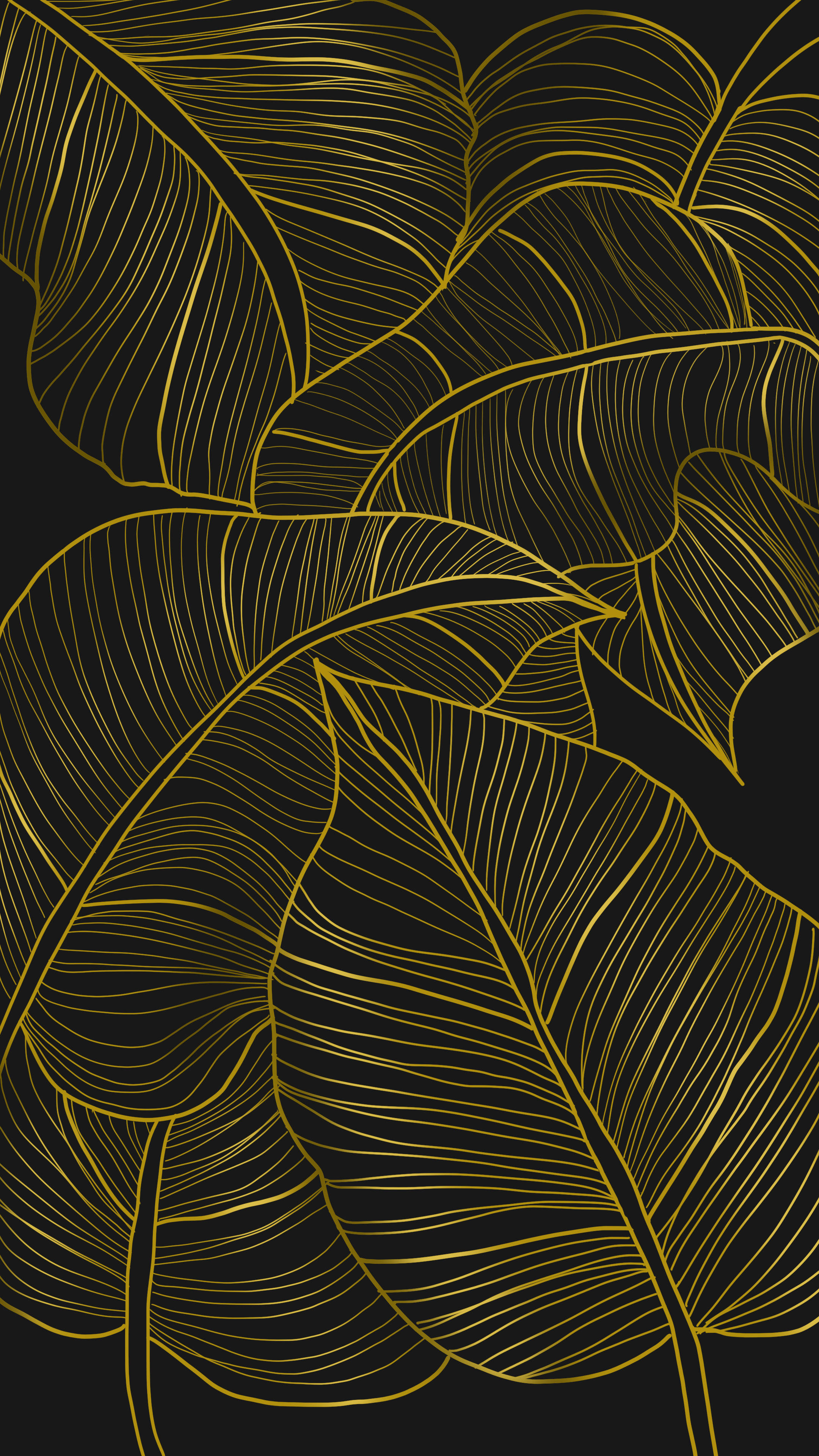 Minimalist Plant HD Wallpaper