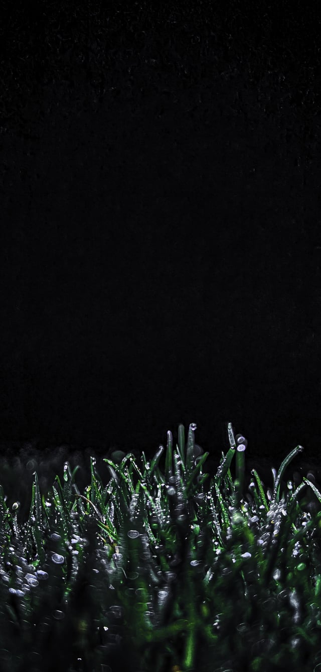 Dark Wallpaper