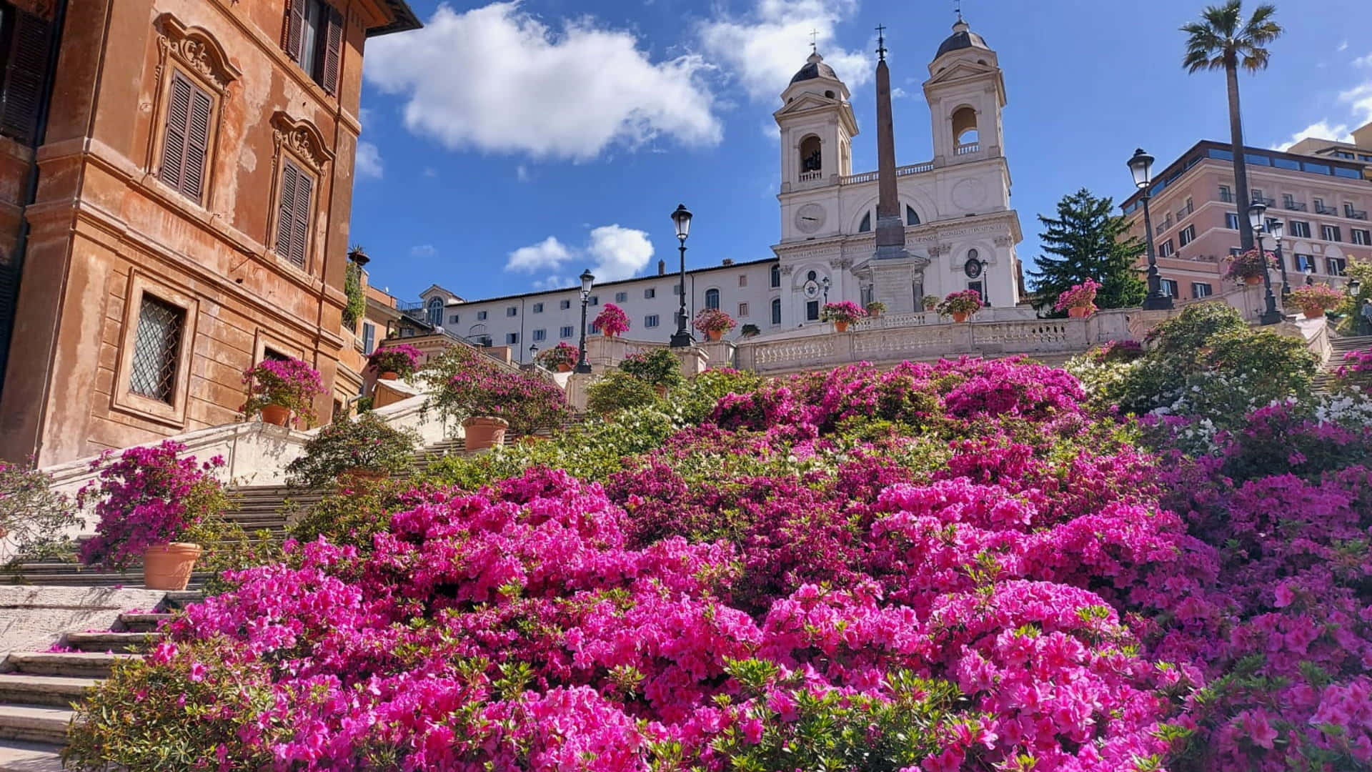 Download Spanish Steps Daylight Flowers
