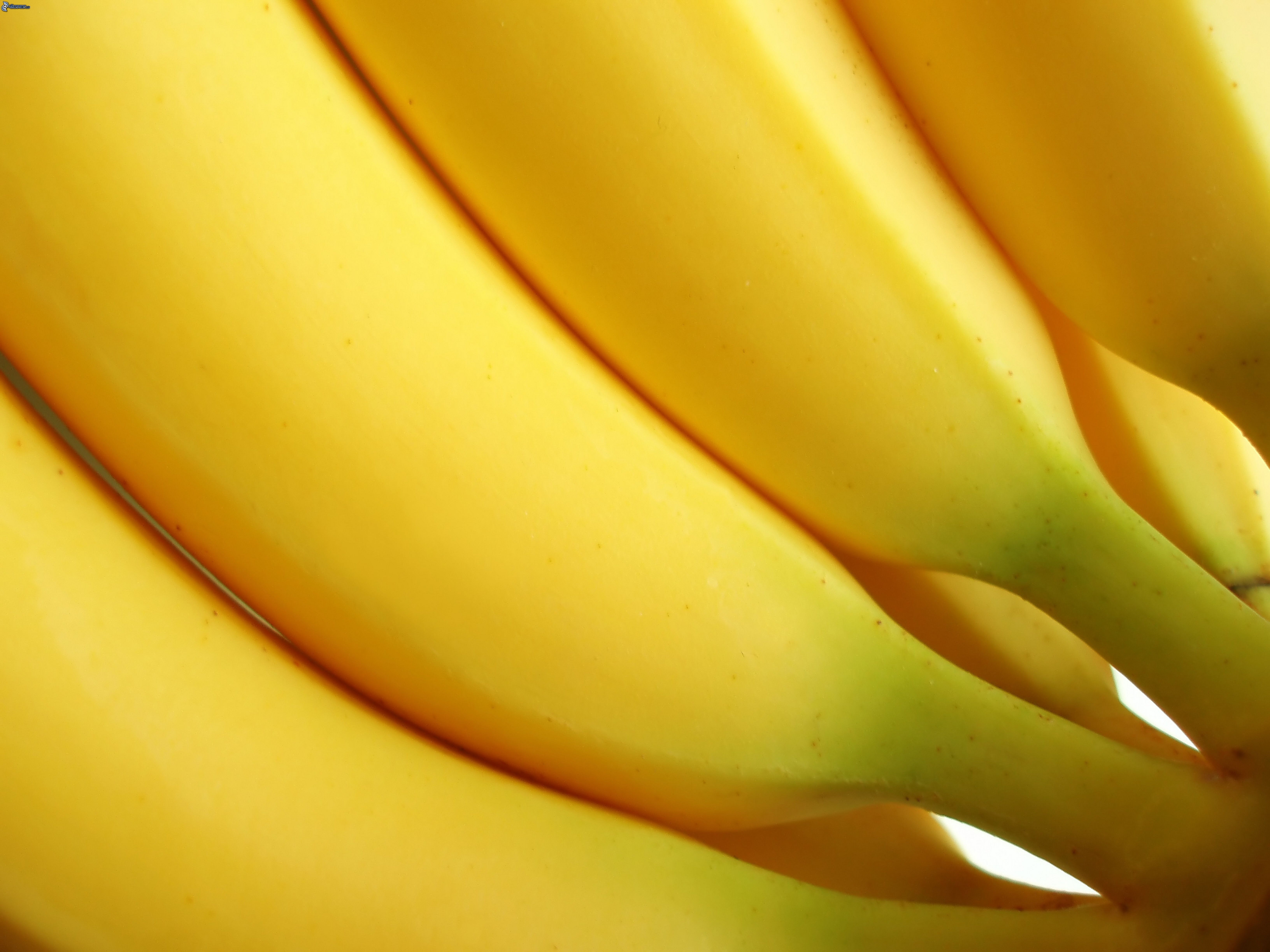 Download Food Banana 4k Ultra HD Wallpaper