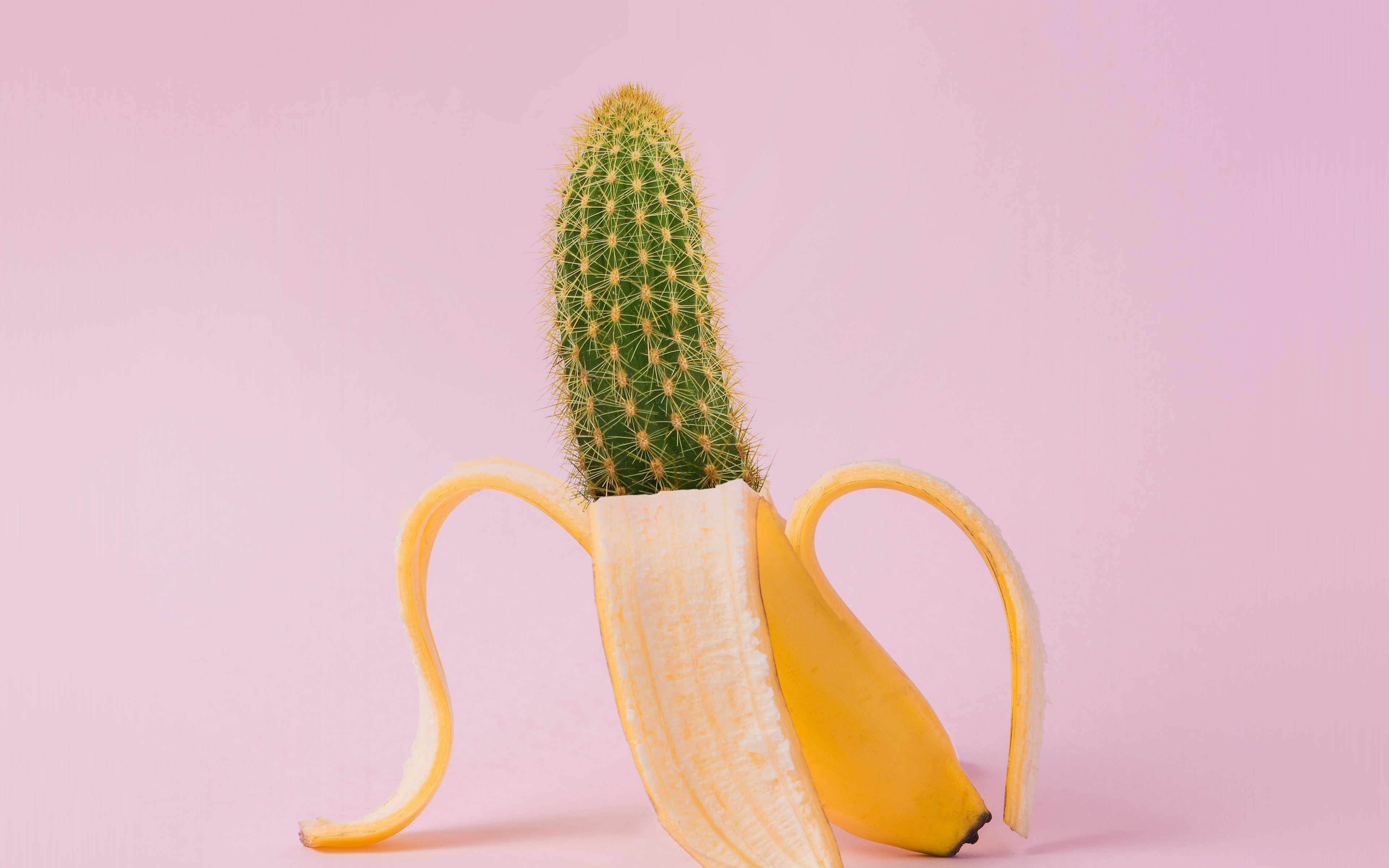 desktop, laptop. art banana cactus