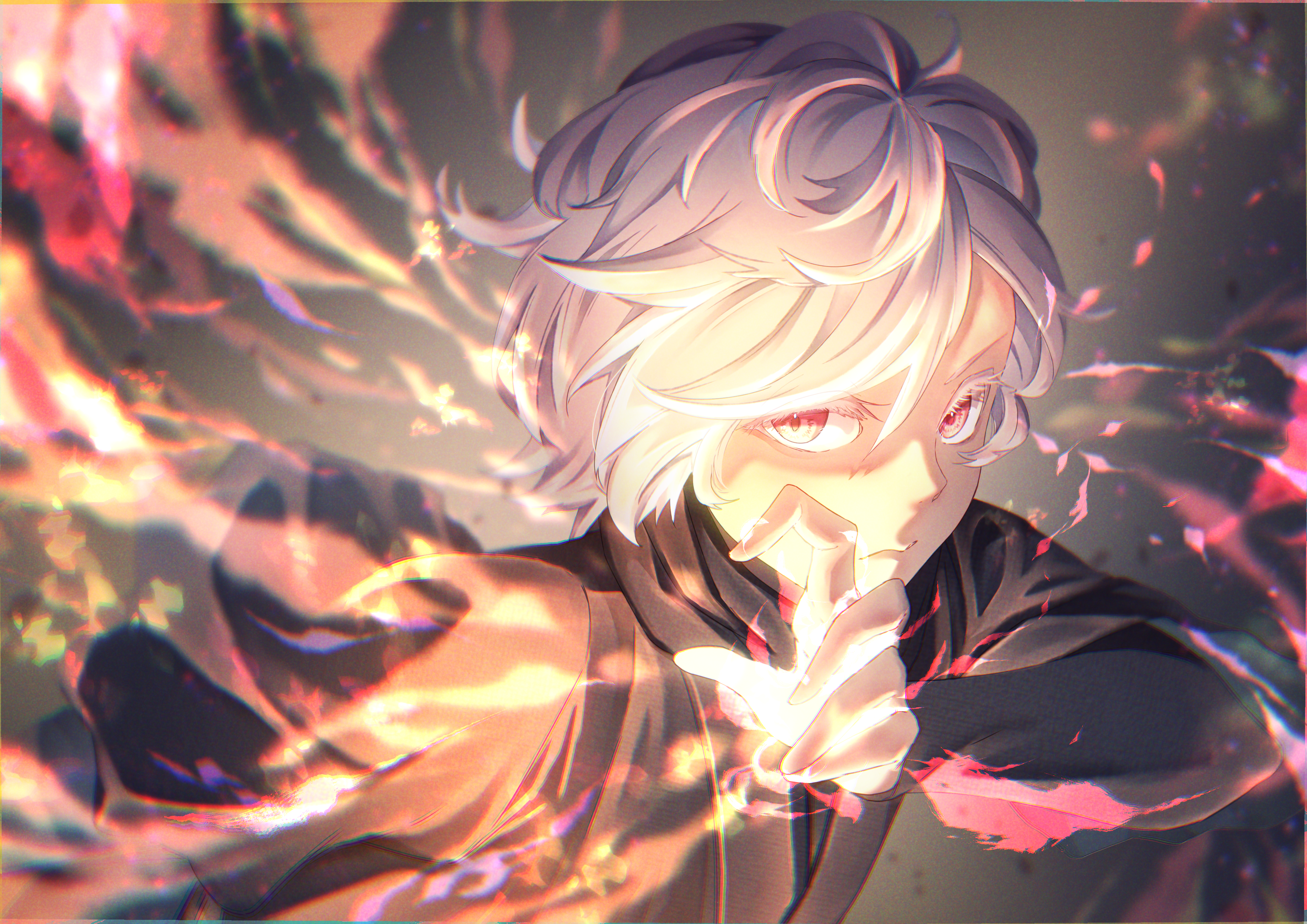 4k Ultra HD Wallpaper