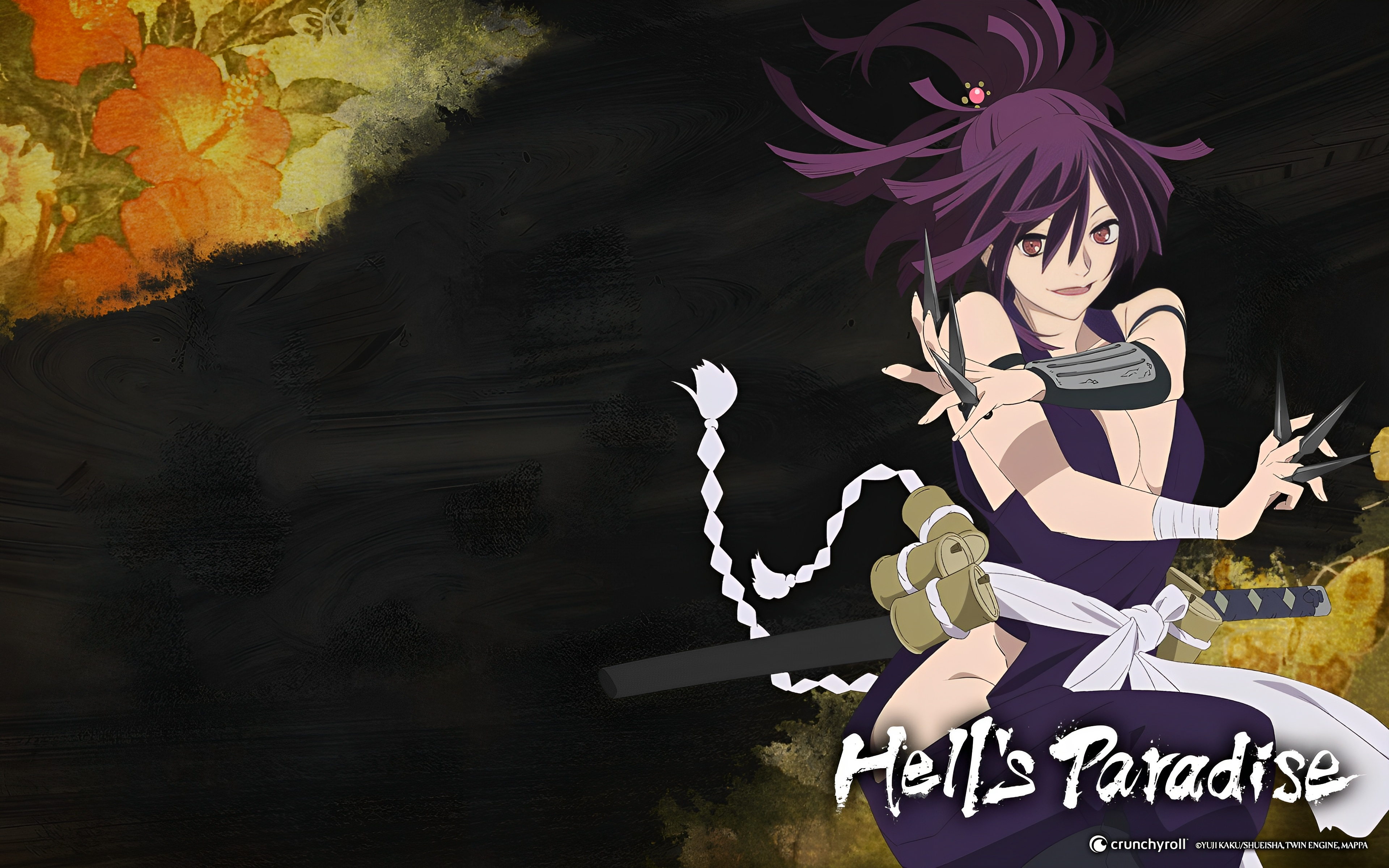 Paradise: Jigokuraku Anime