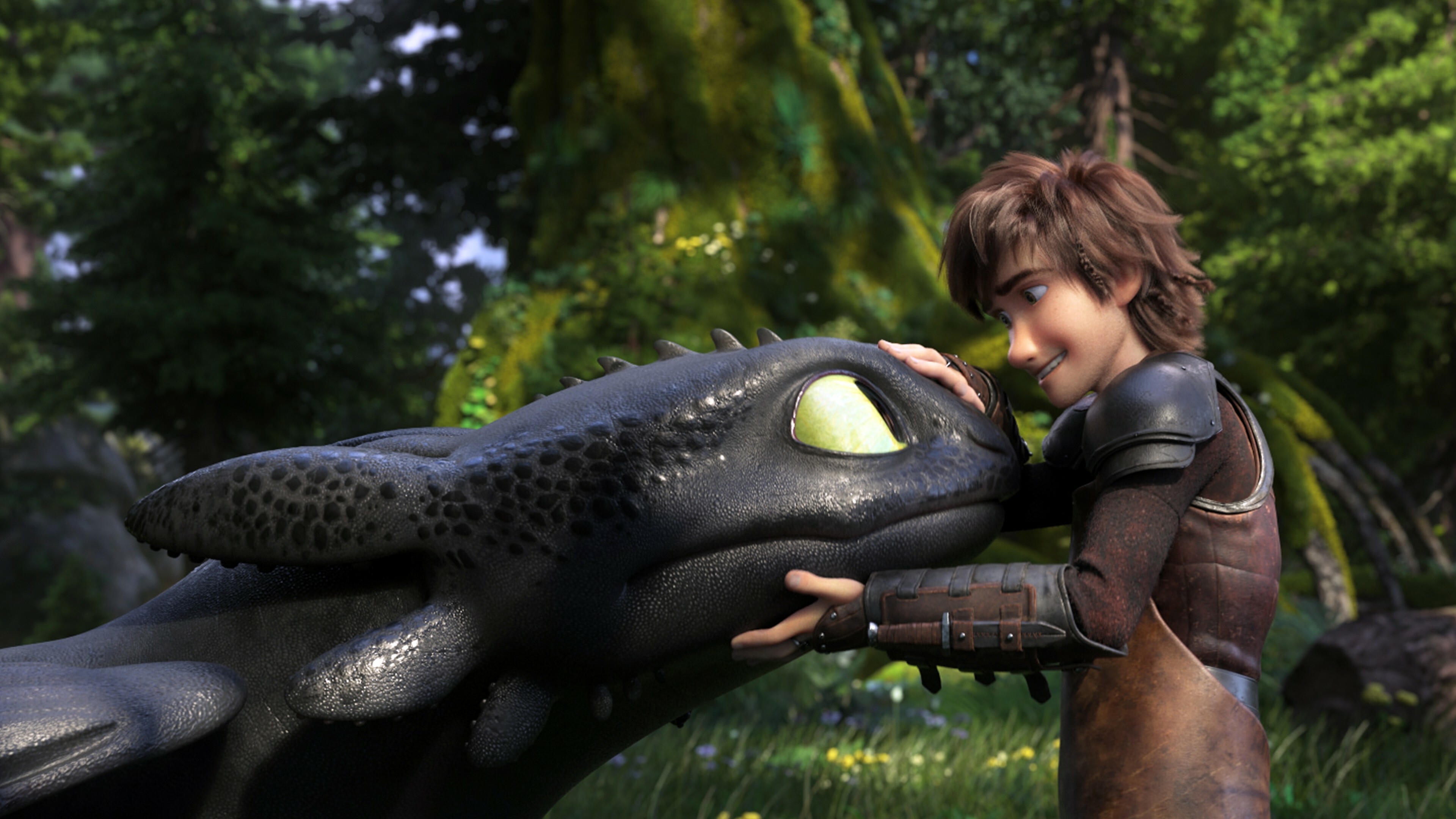 How to Train Your Dragon Wallpaper 49