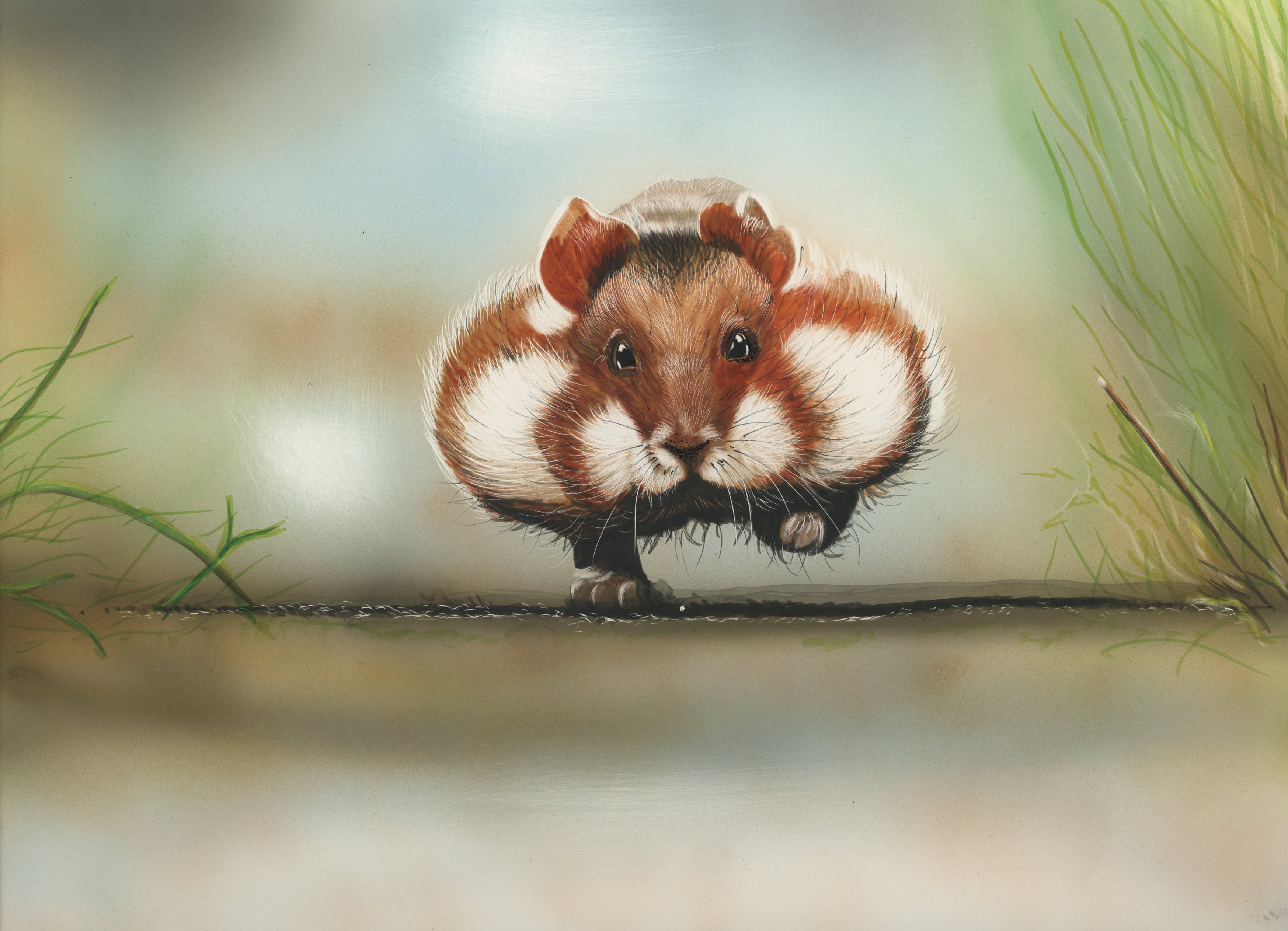 Charming Hamster HD Wallpaper