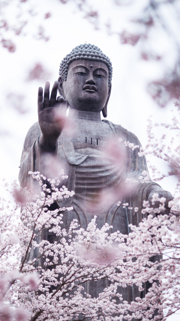 Buddha Phone Wallpaper