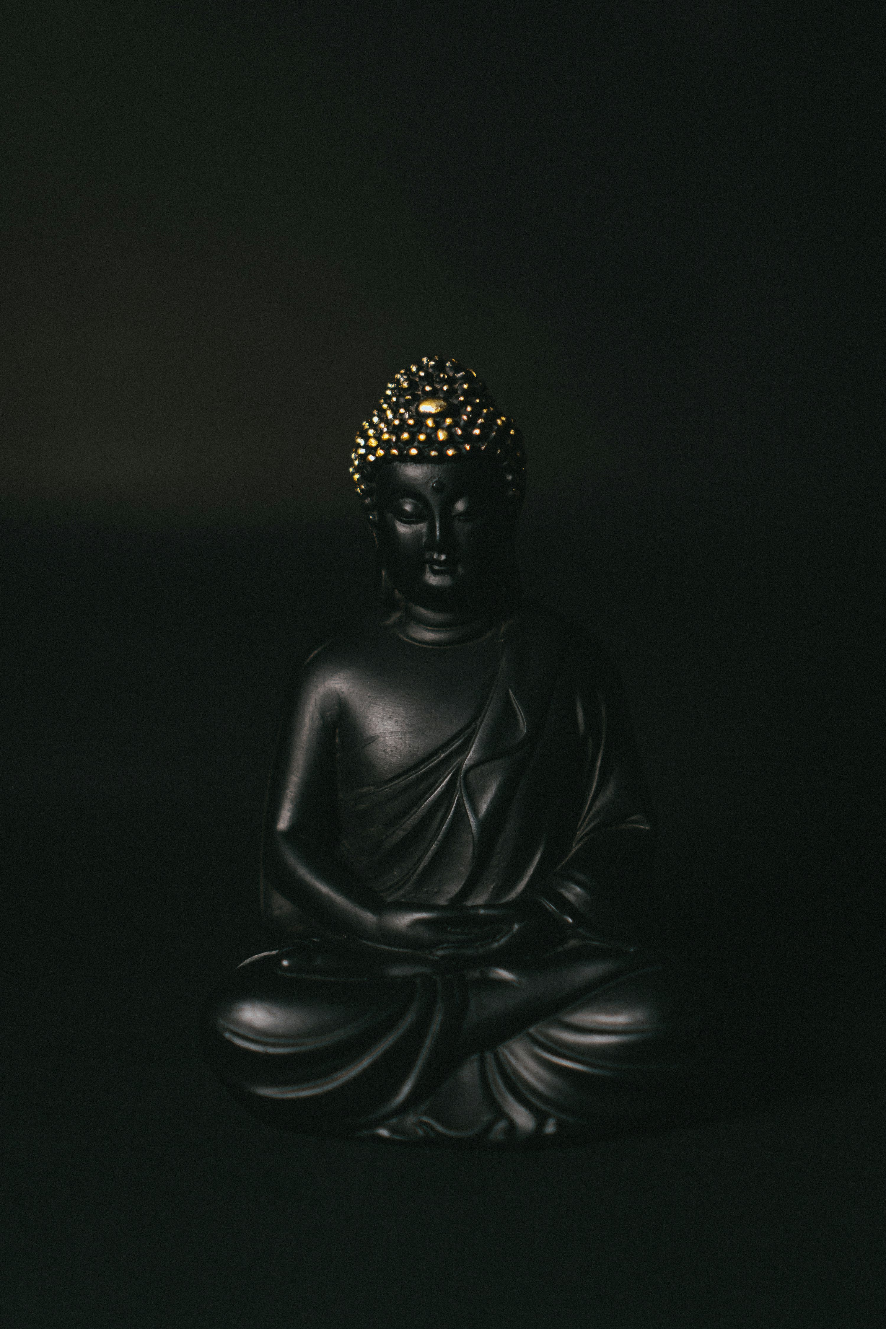 Black gautama buddha statue in black
