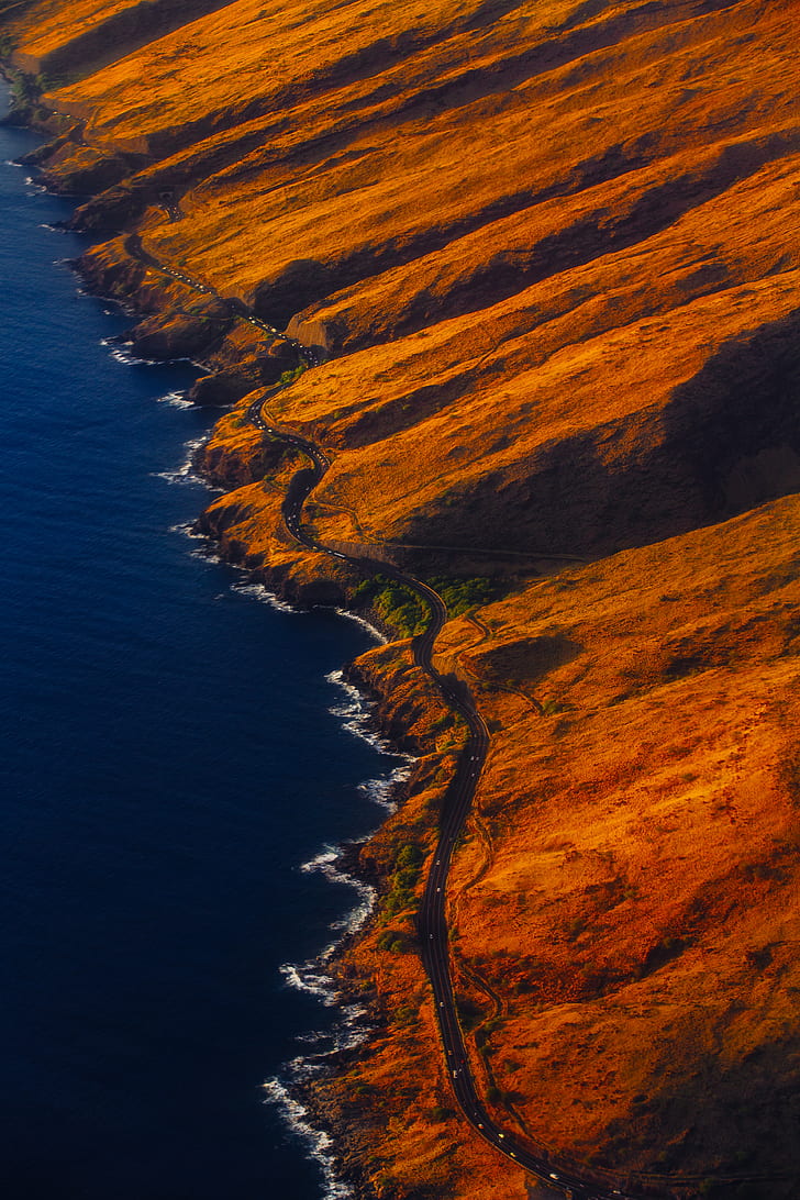 Aerial photography of beach
