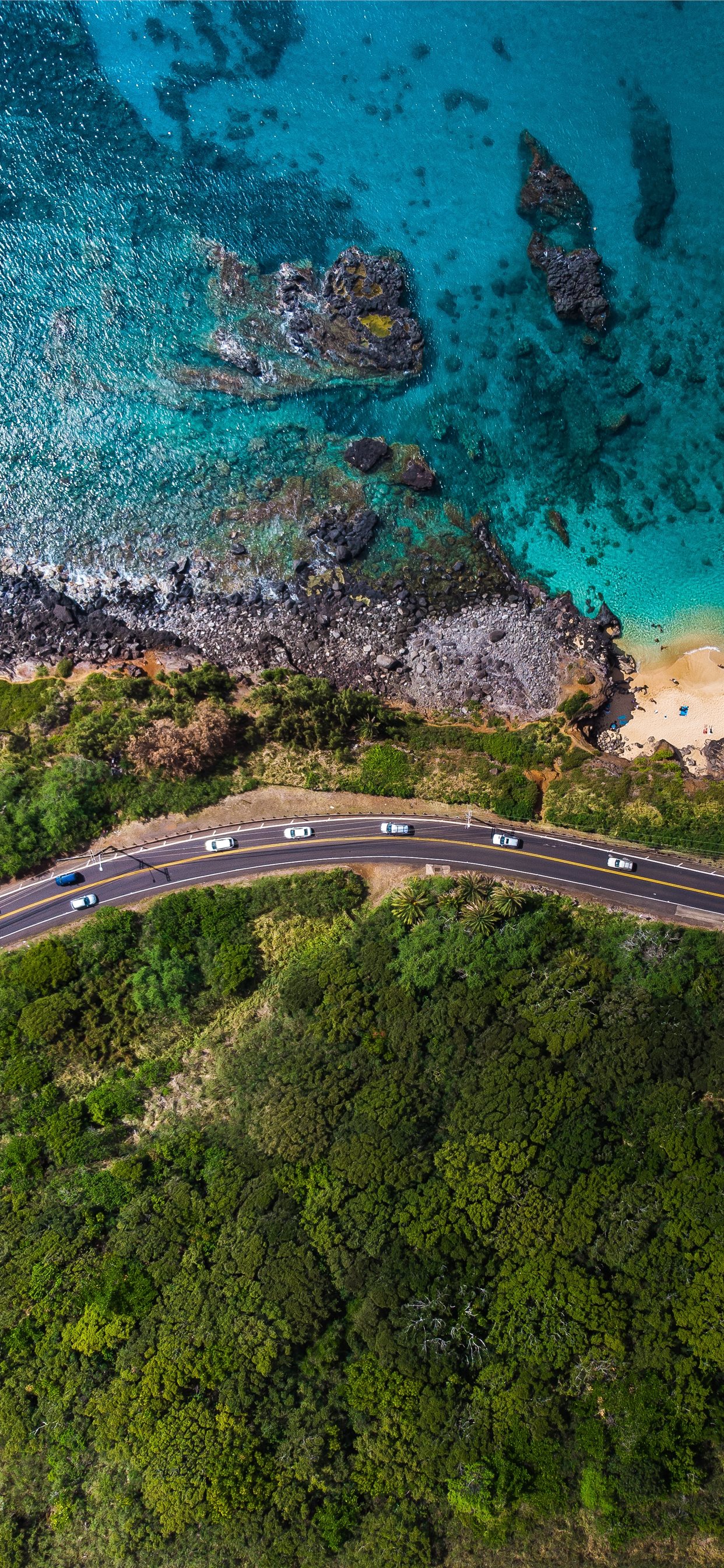 aerial view of road near body of water