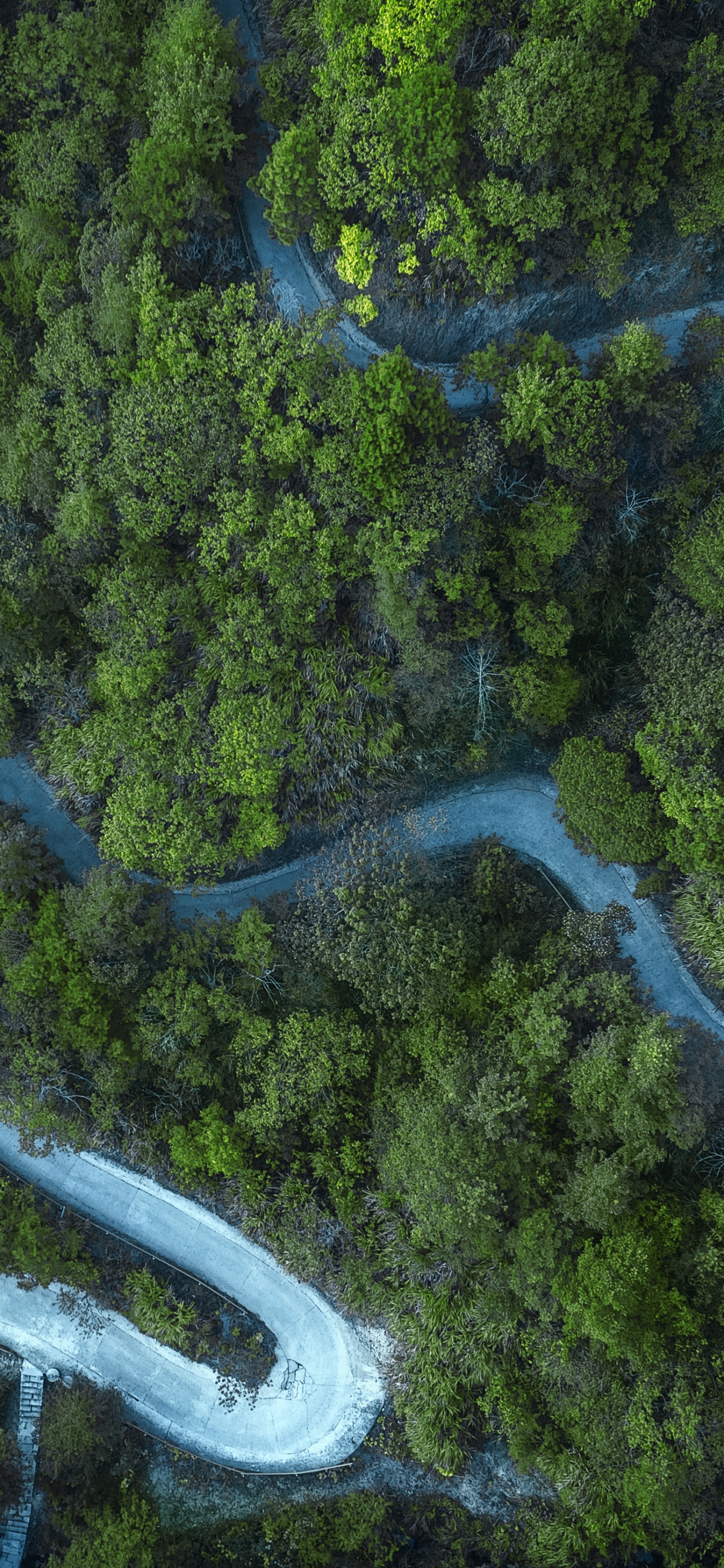 Forest Wallpaper 4K, Cold, Road, Aerial