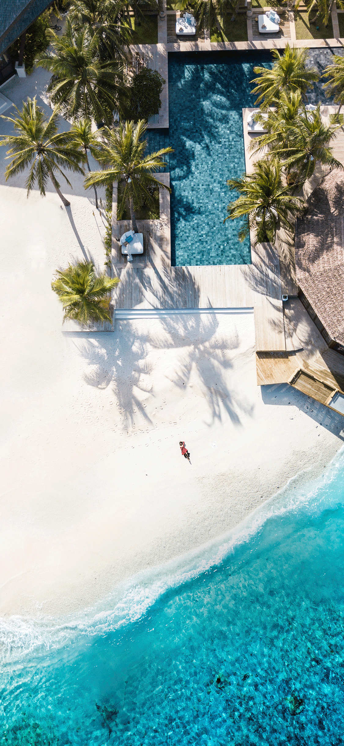 Aerial photo Wallpaper for iPhone 11