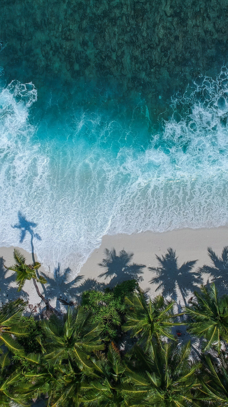 Download wallpaper 750x1334 beautiful