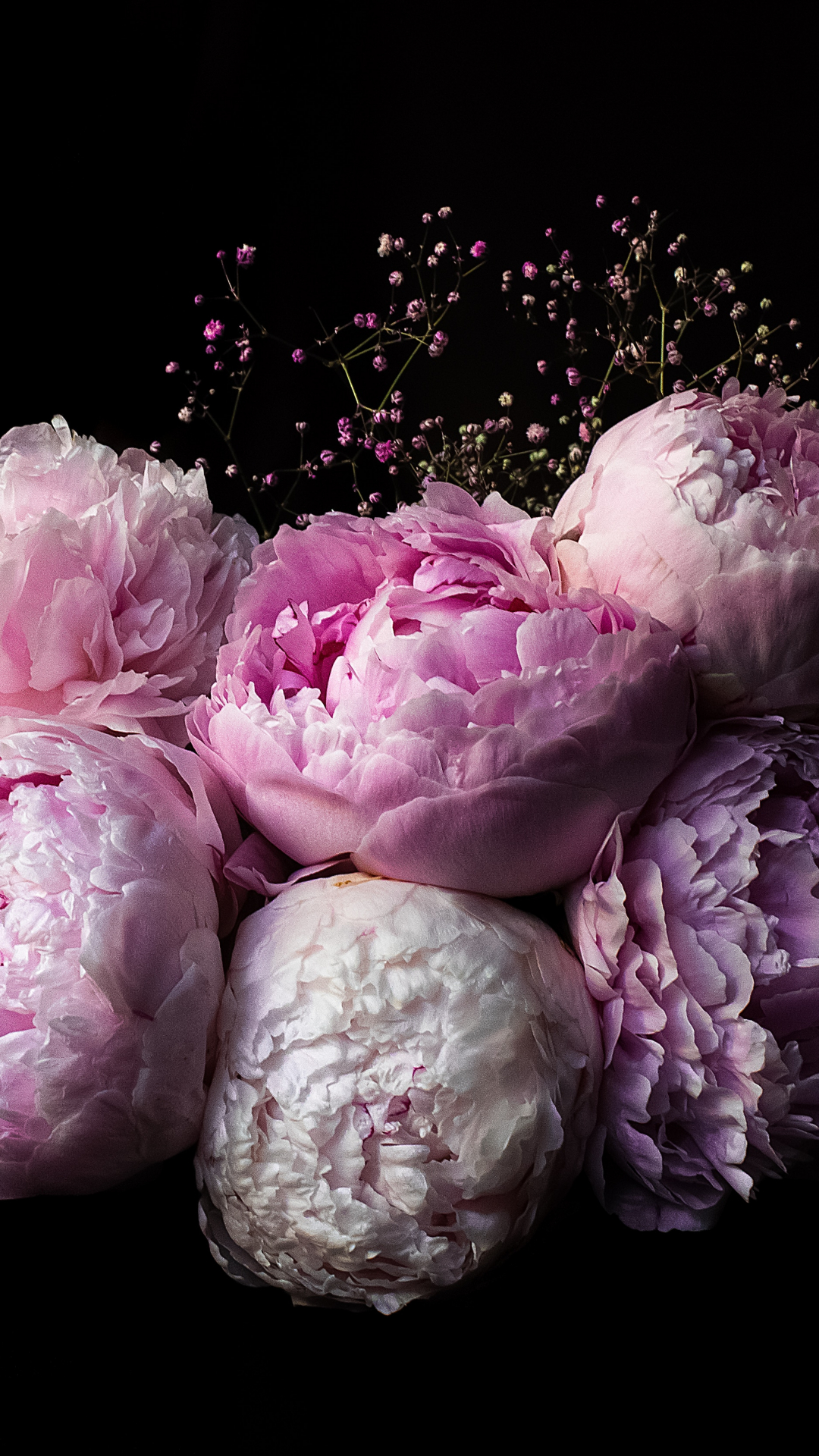 Peonies iPhone Wallpaper