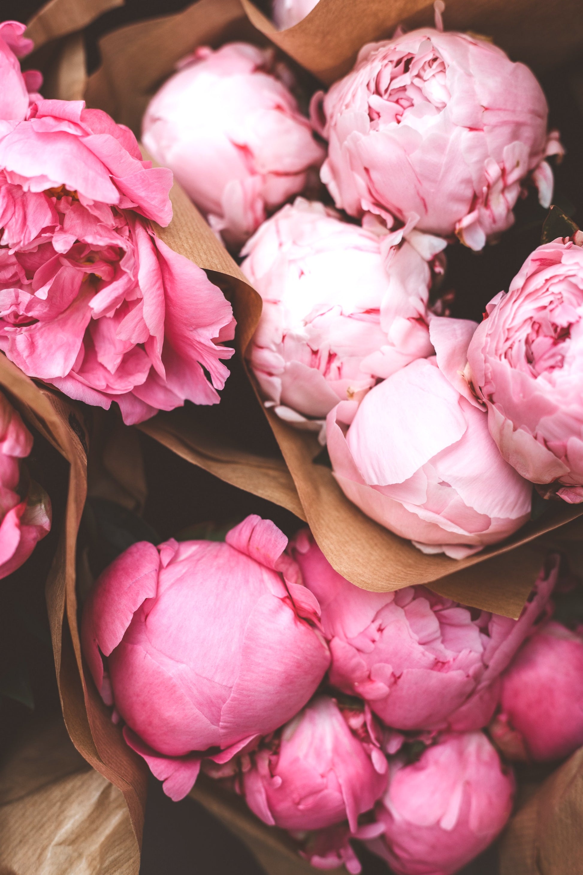 Colorful Peony Bouquet Stems