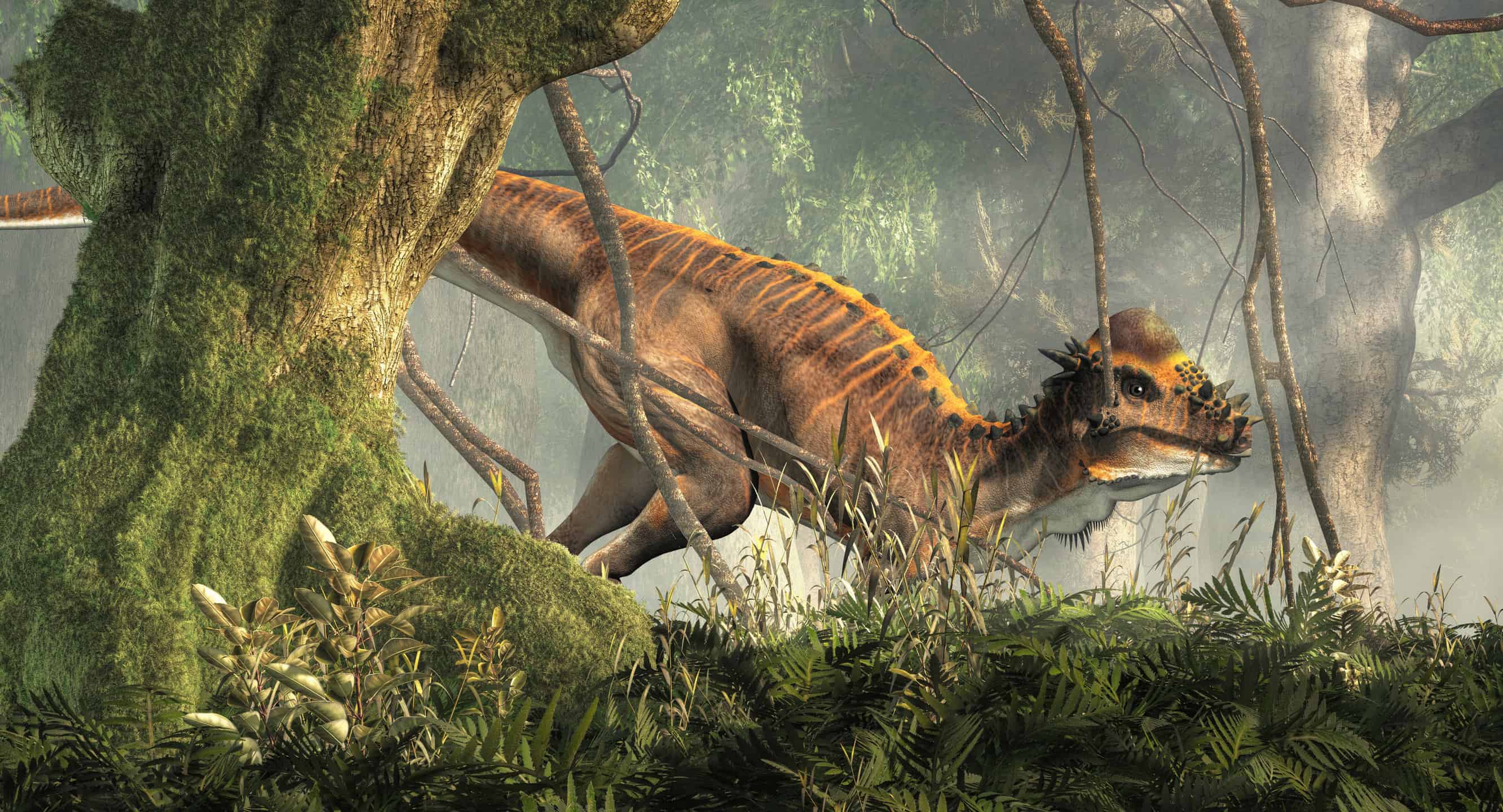 Pachycephalosaurus Picture