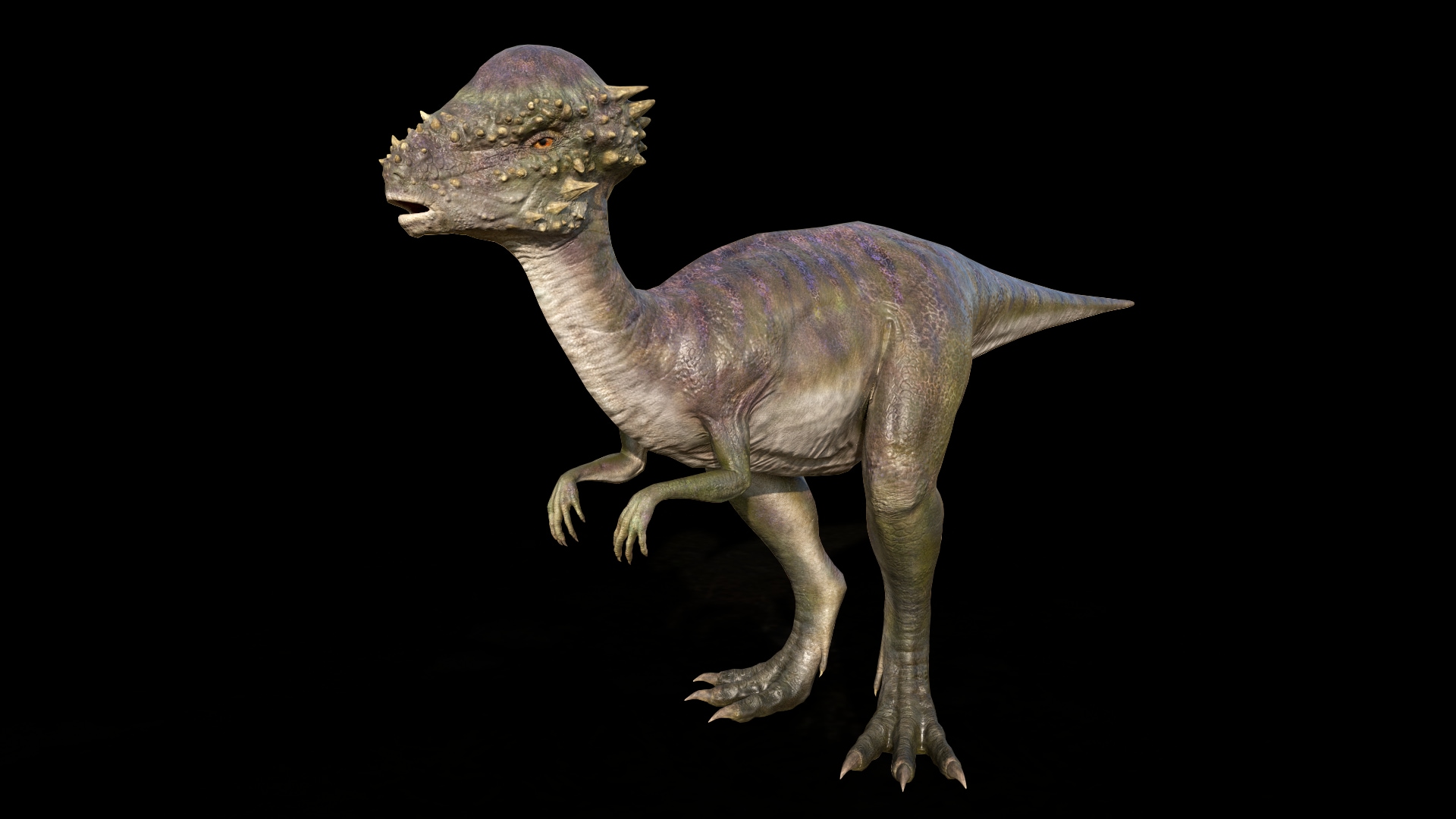 Animated Pachycephalosaurus