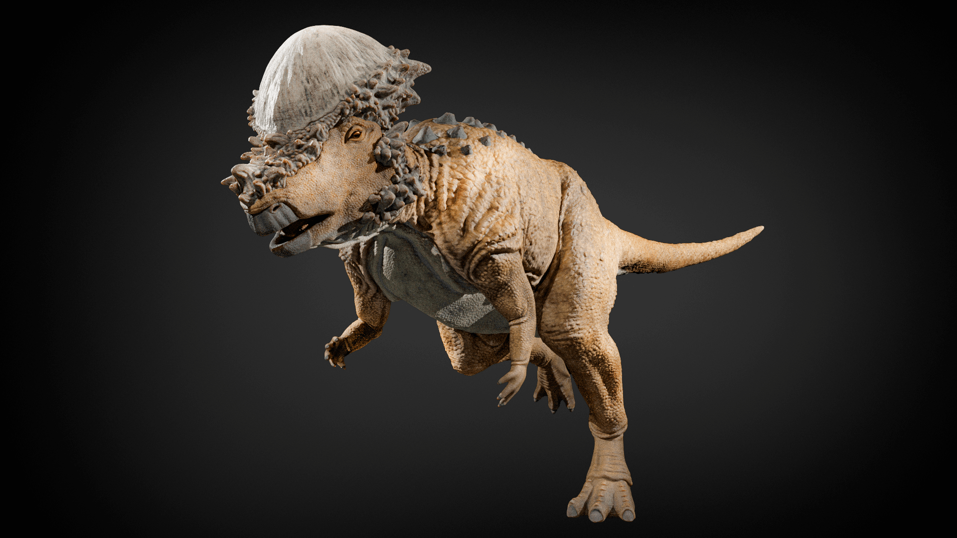 3D Pachycephalosaurus
