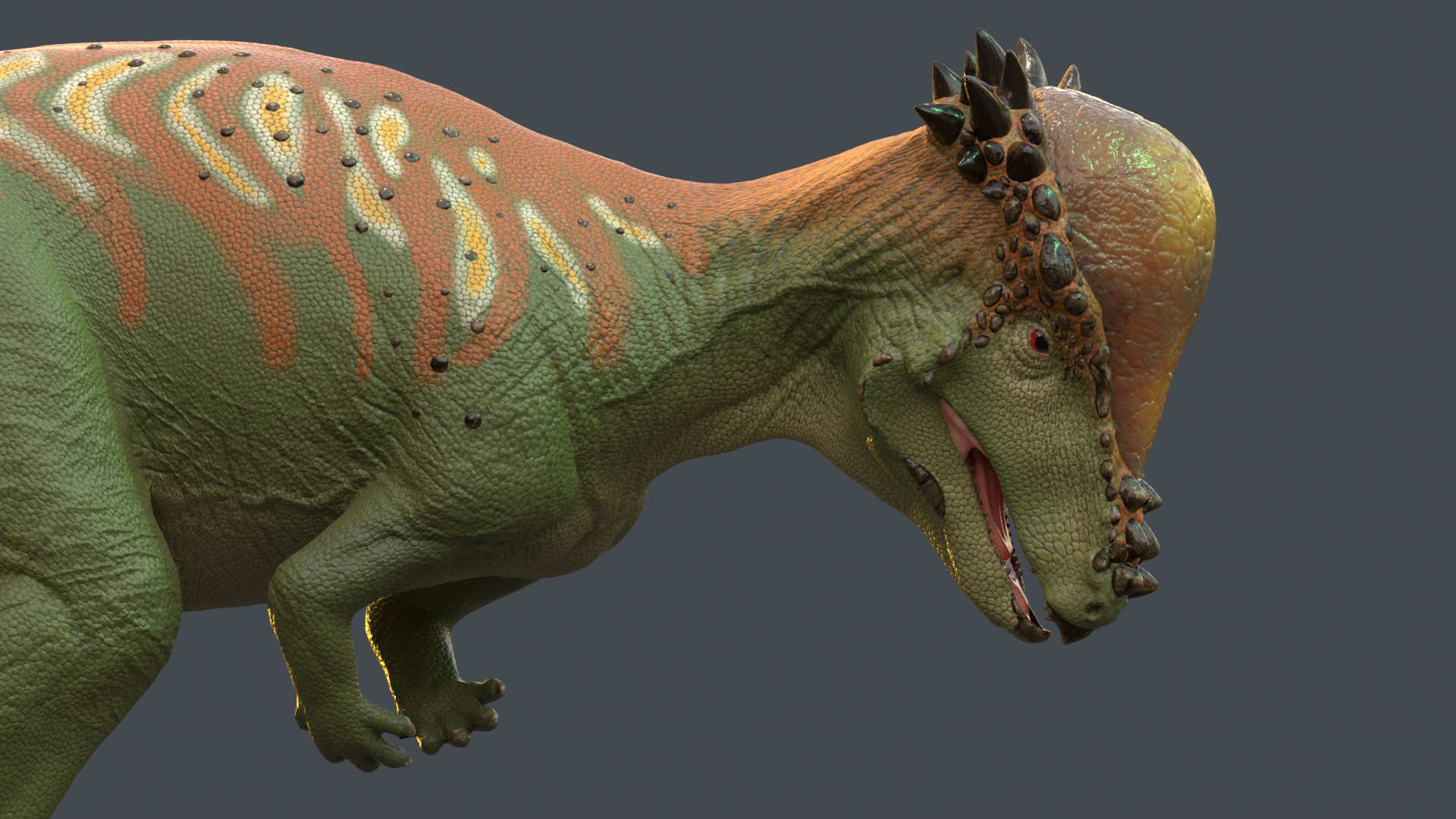 3D file Pachycephalosaurus wyomingensis