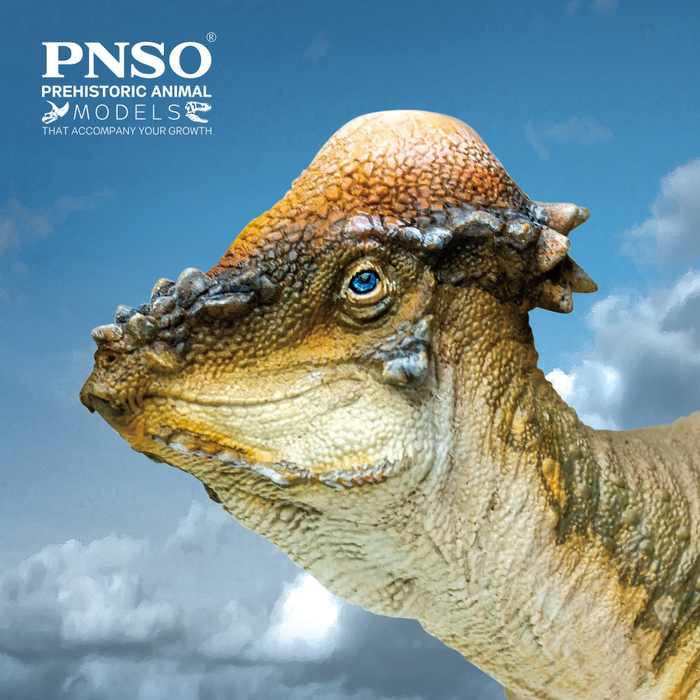 PNSO: PACHYCEPHALOSAURUS
