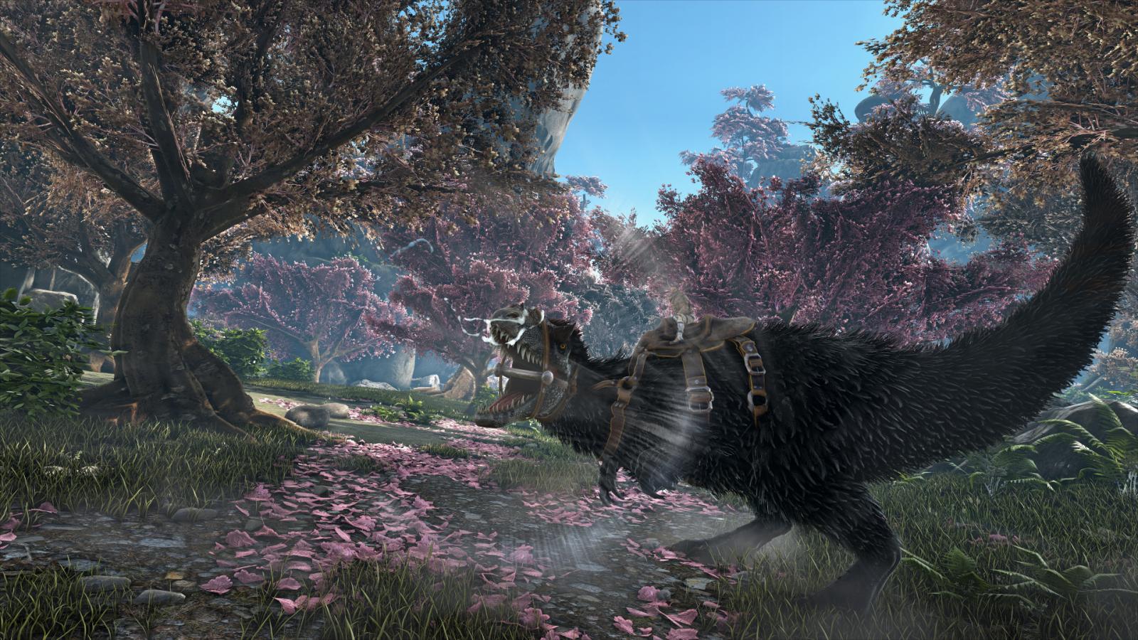 Wolf Angelus in Japan