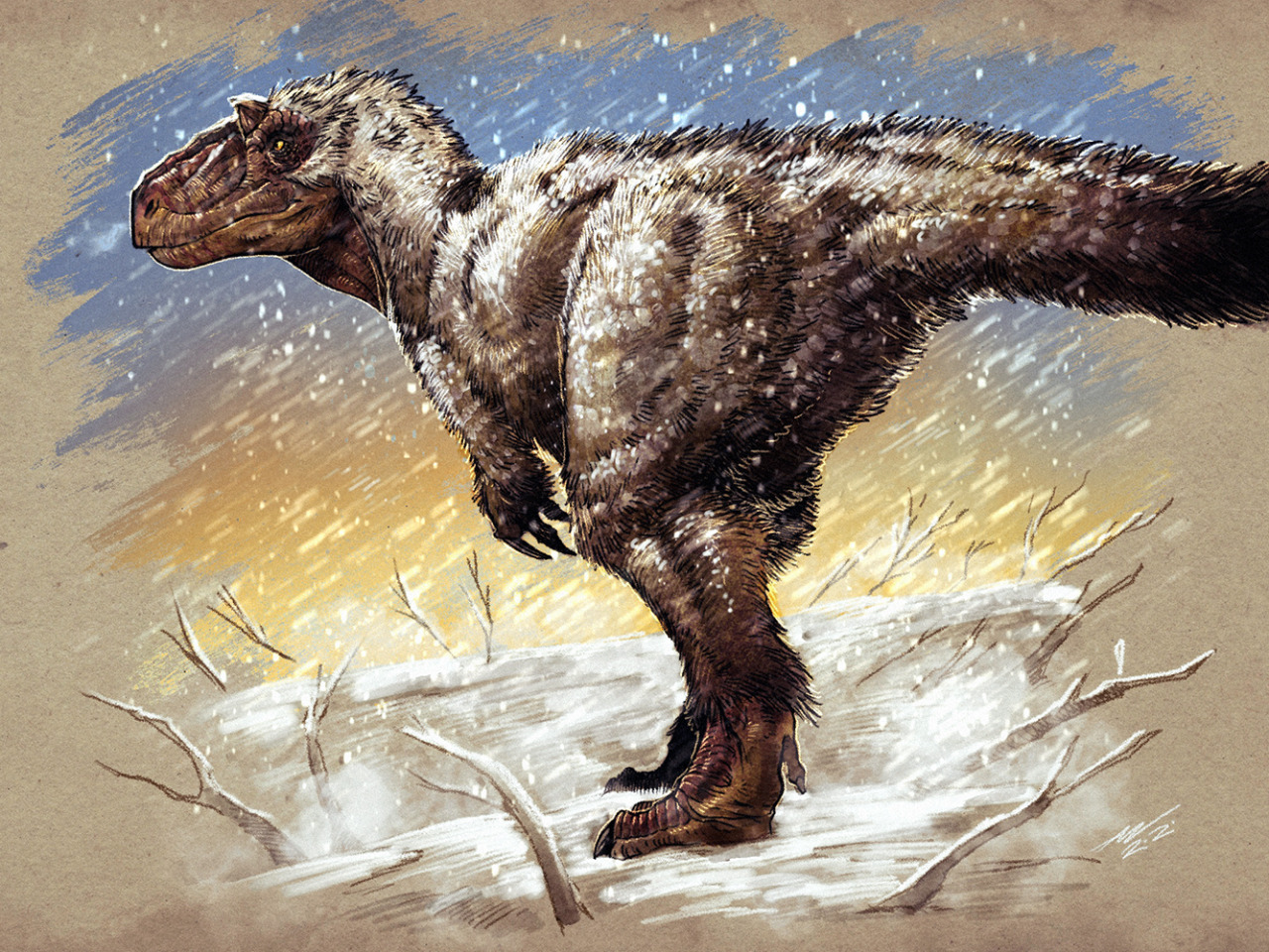 Yutyrannus huali