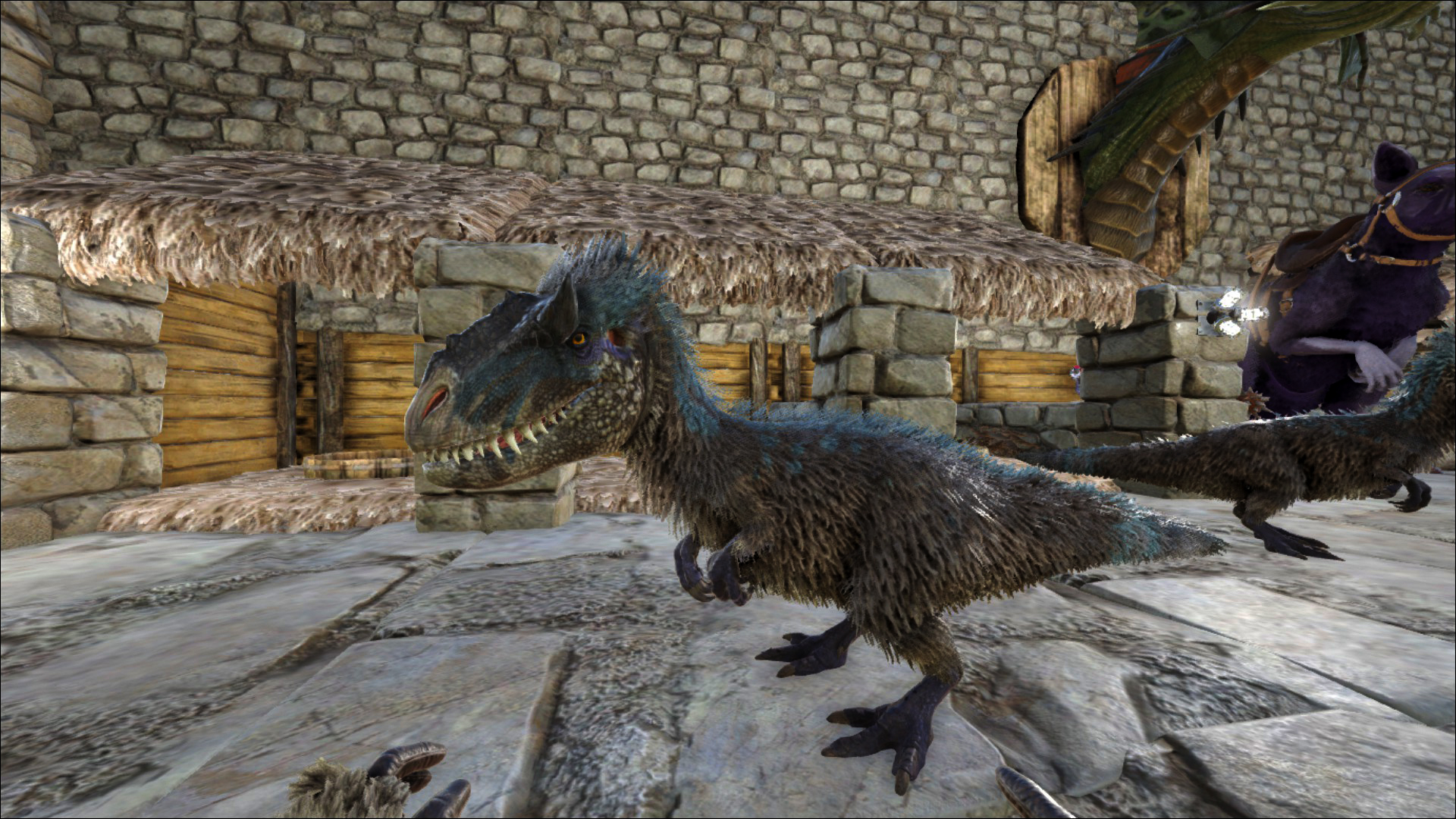 Baby Yutyrannus Albums