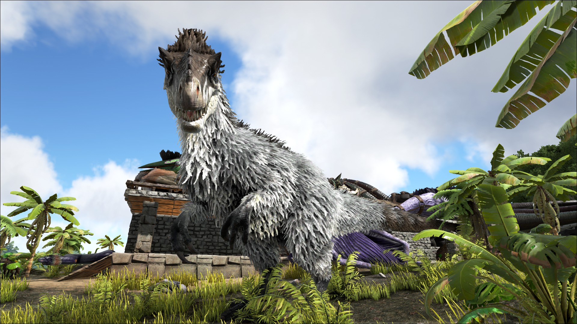 DrTanner: SO I ACTUALLY ENDED UP