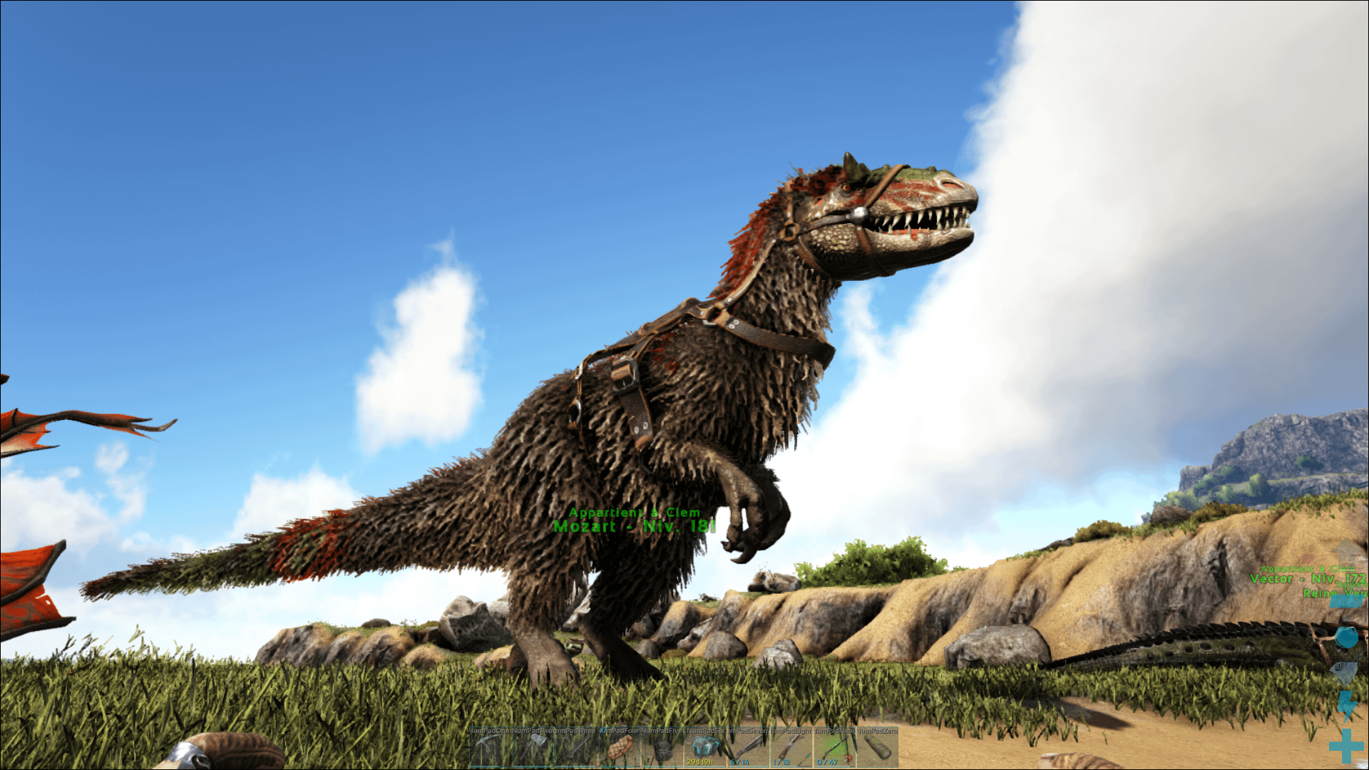 Mozart the Yutyrannus!