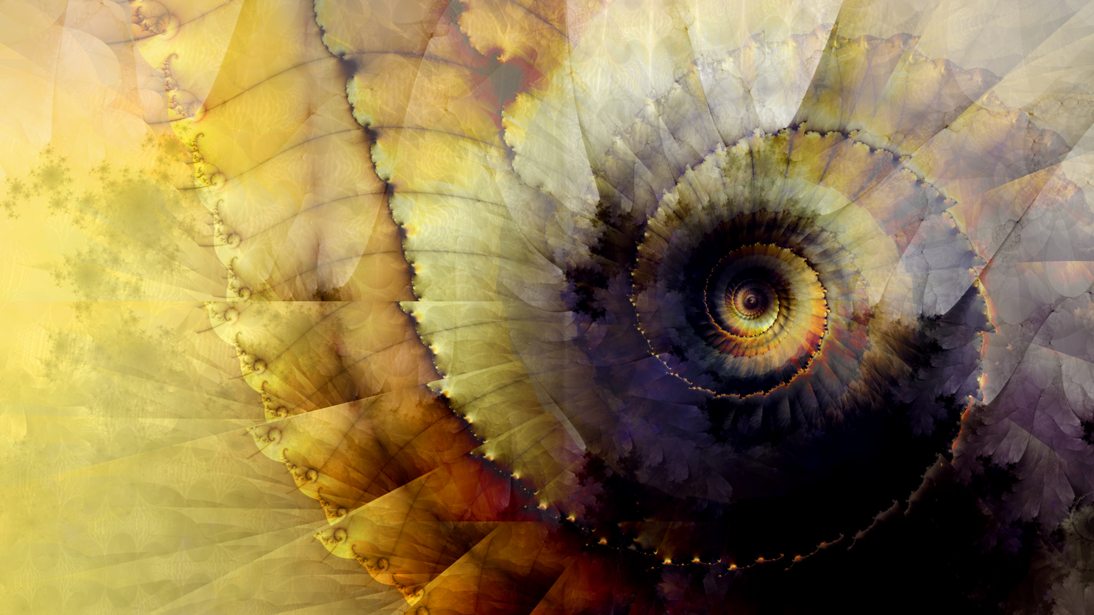 fractal, spiral, golden ratio