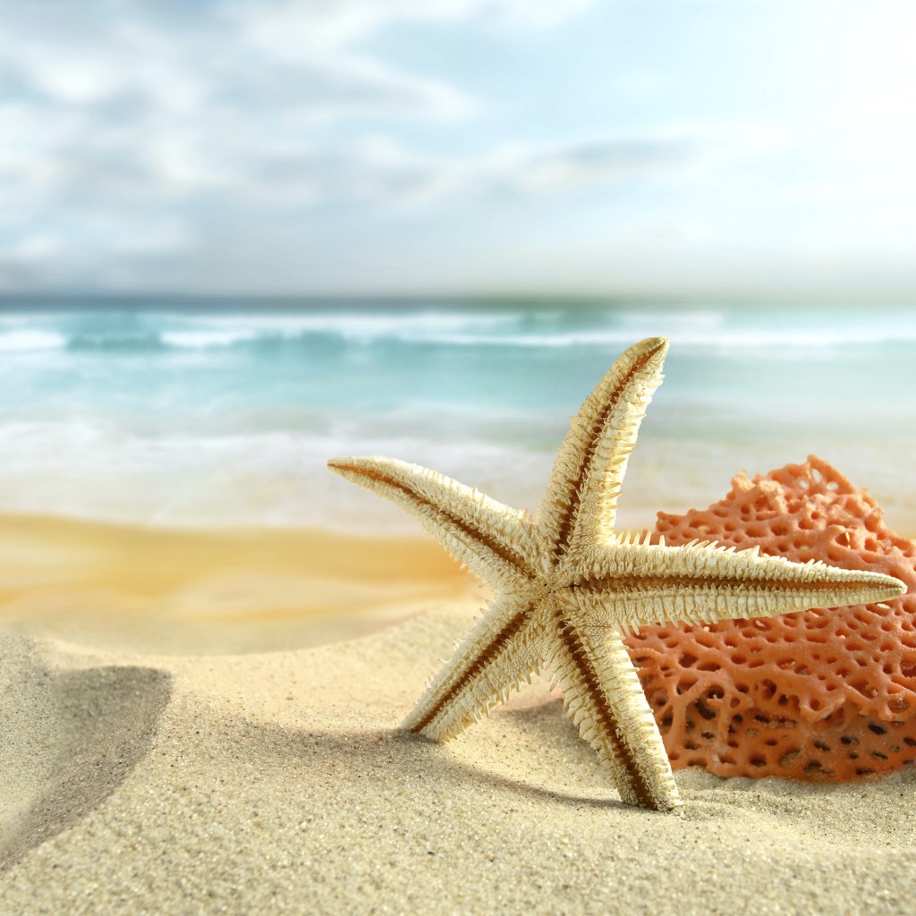 Beach Retina Wallpaper