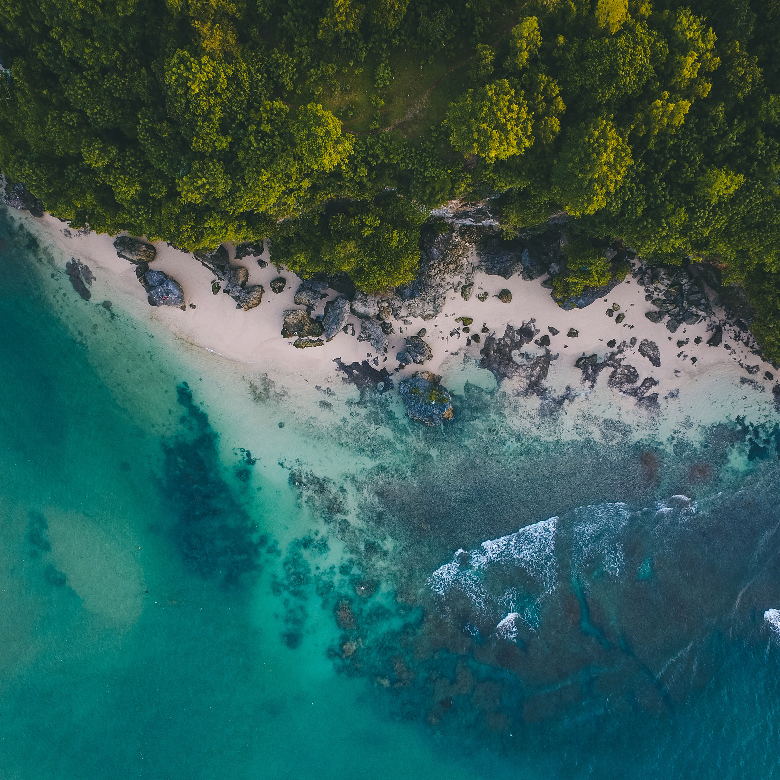 Sea Beach Nature Summer Wallpaper