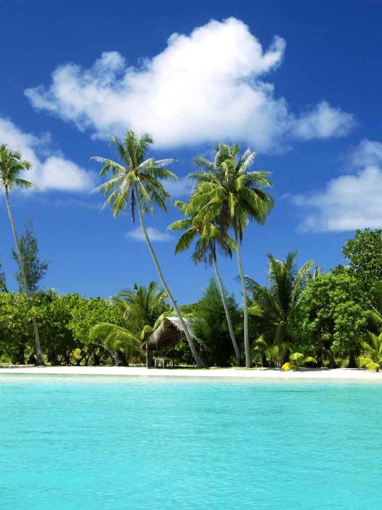 Beach Nature Ocean Wallpaper 561 Non