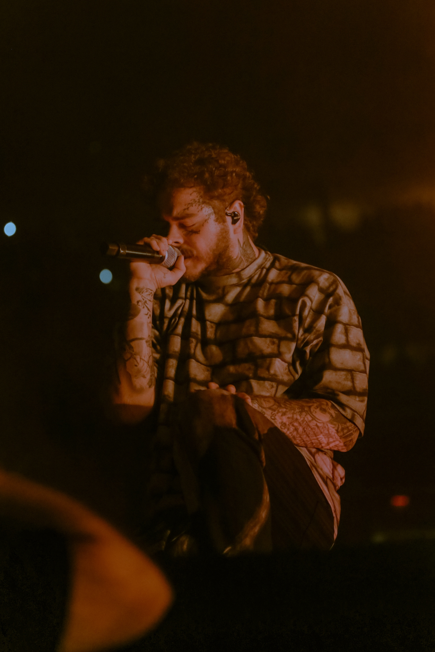 Post Malone Concert Pics