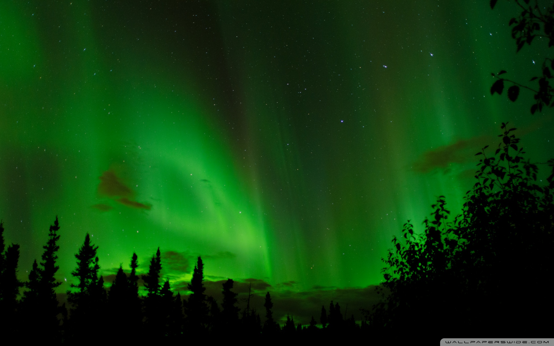 Ultra HD Desktop Background Wallpaper