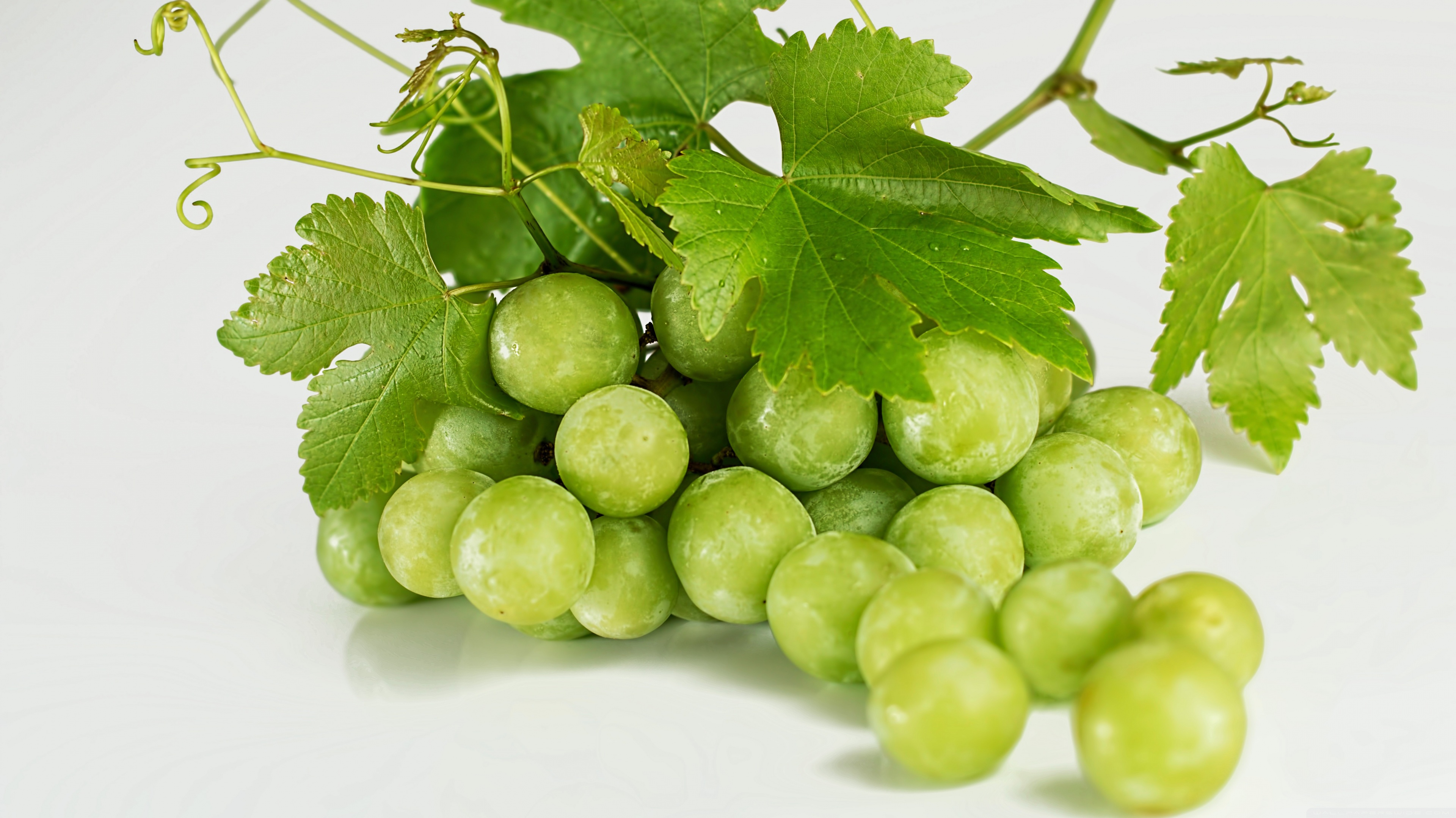 Grape Vine Ultra HD Desktop Background