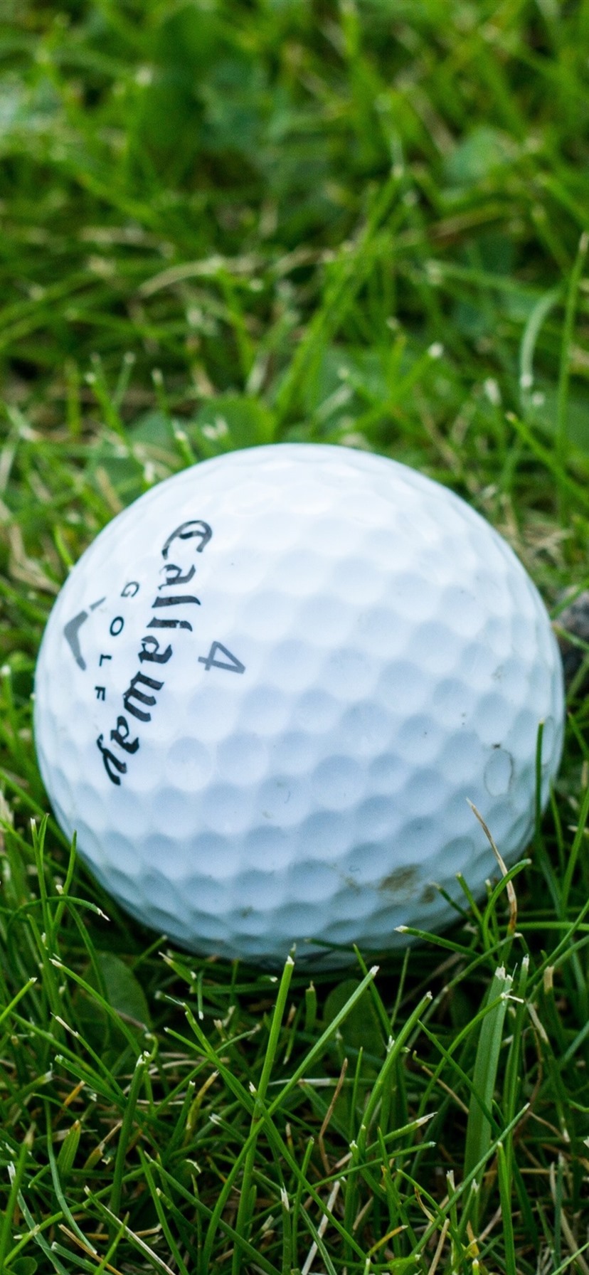Golf ball in the lawn 1080x1920 iPhone