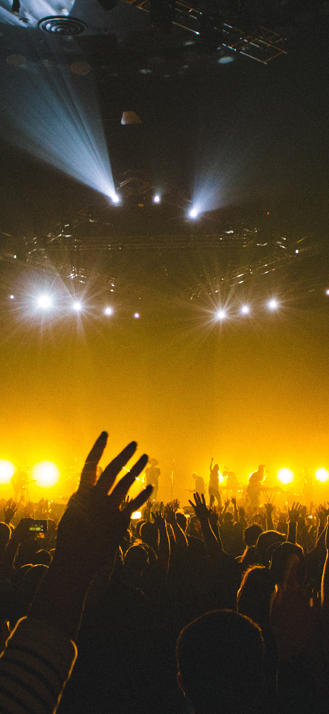 Concert Music Artist Rock Night