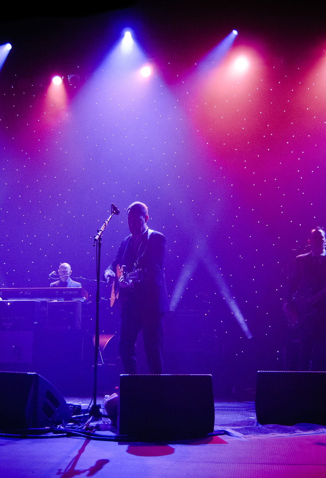David Gray Concert Live Wallpaper