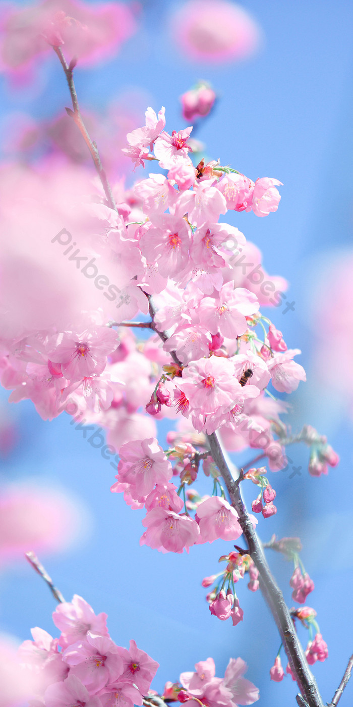 Romantic Cherry Blossom Sakura Vertical