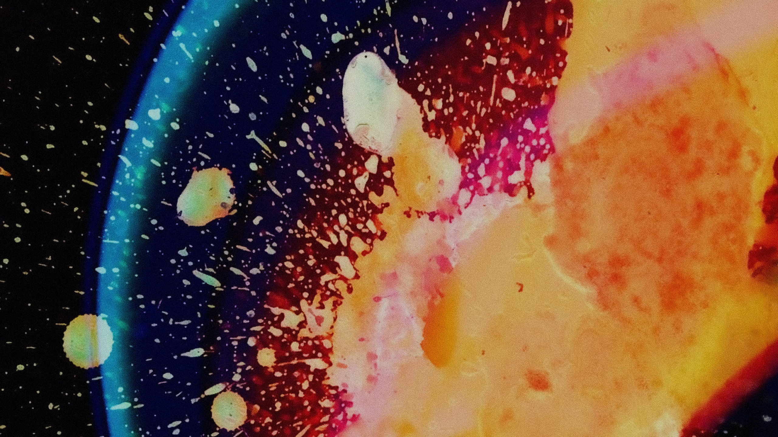 Desktop Wallpaper, 2560x1080