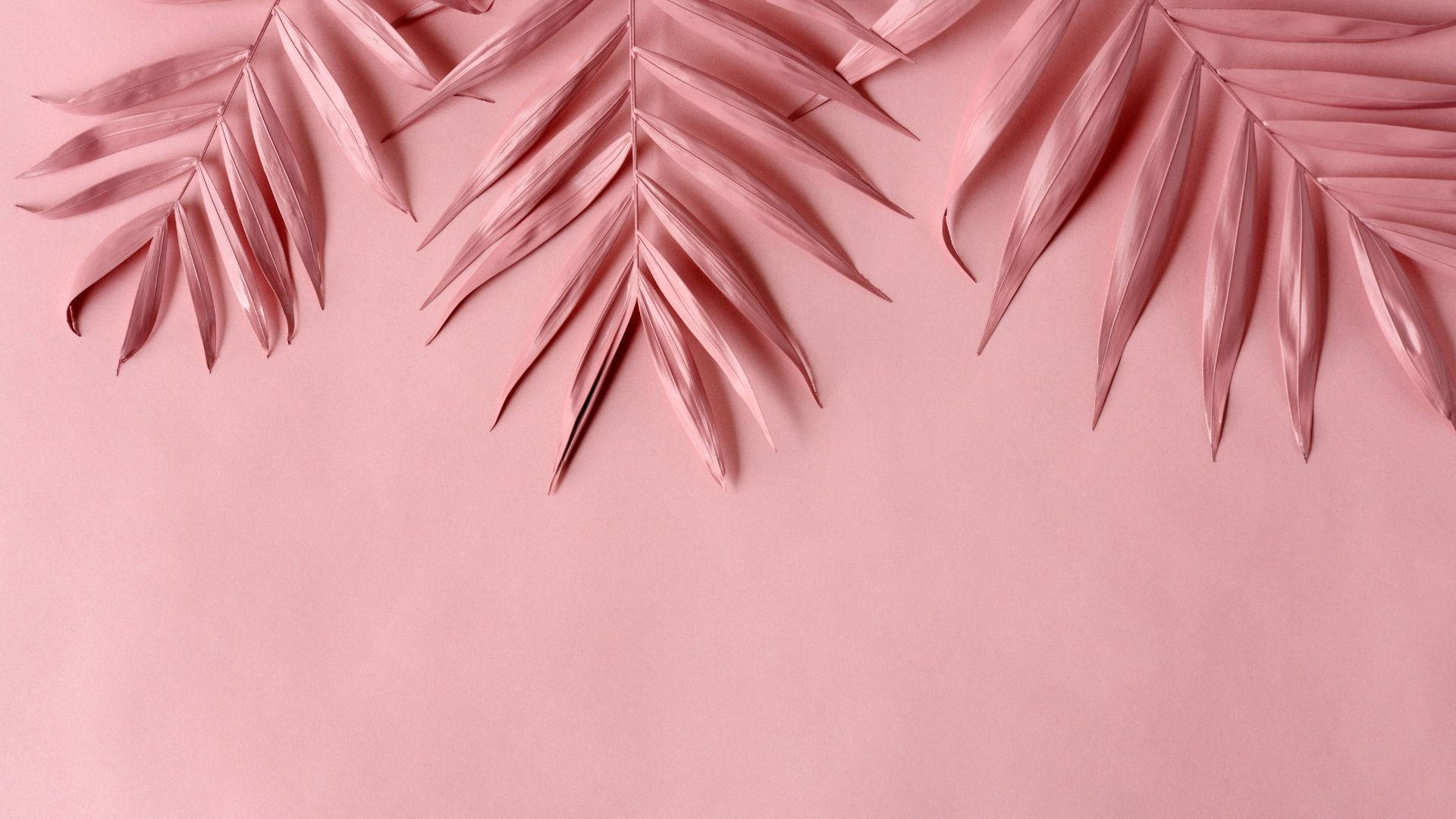 Baby Pink Wallpaper