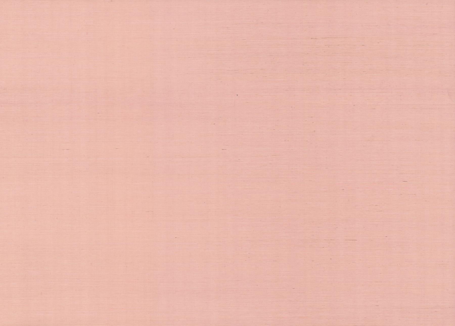 Rifle Paper Co. Palette Light Pink