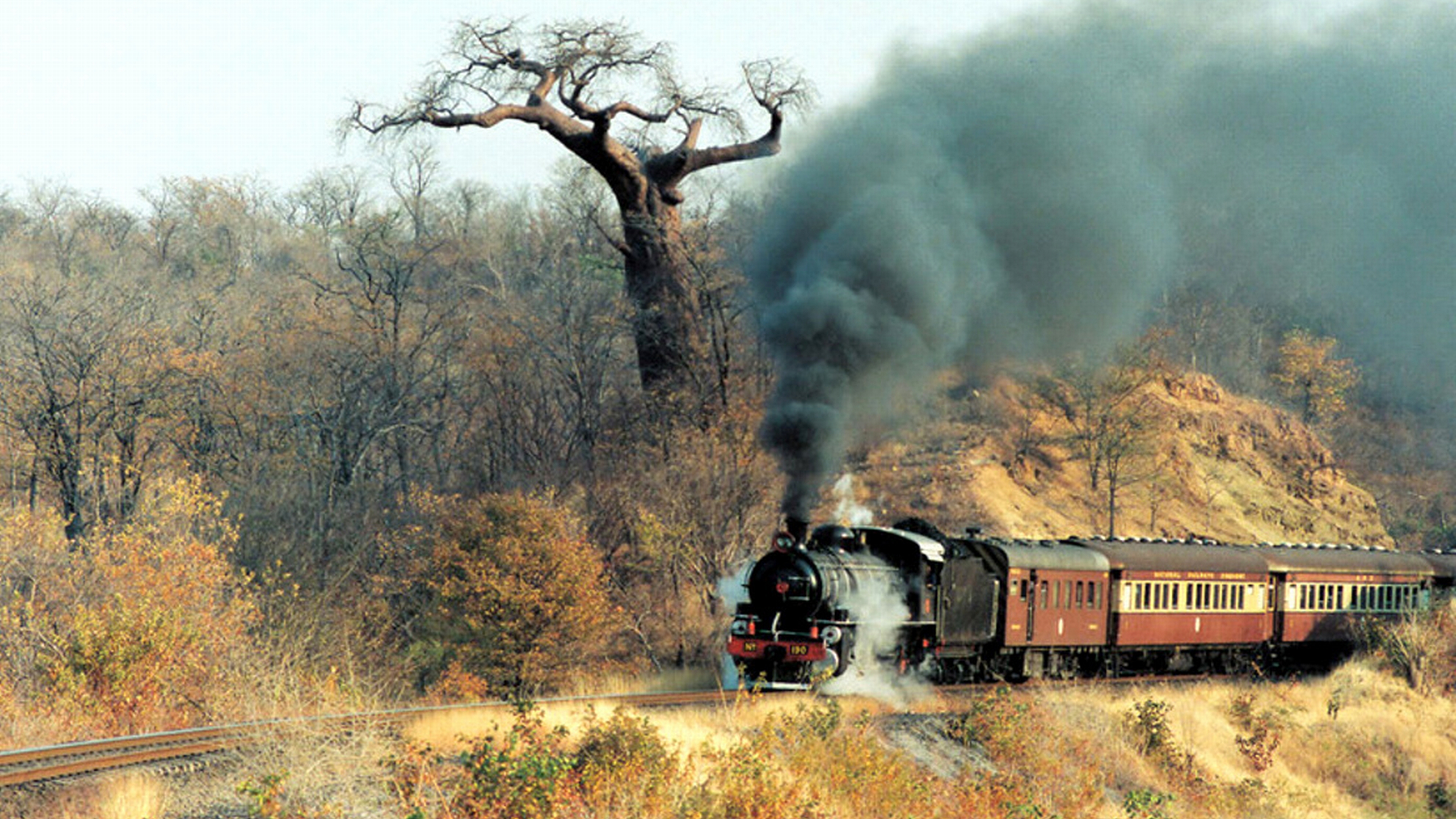 Download Train wallpaper for mobile